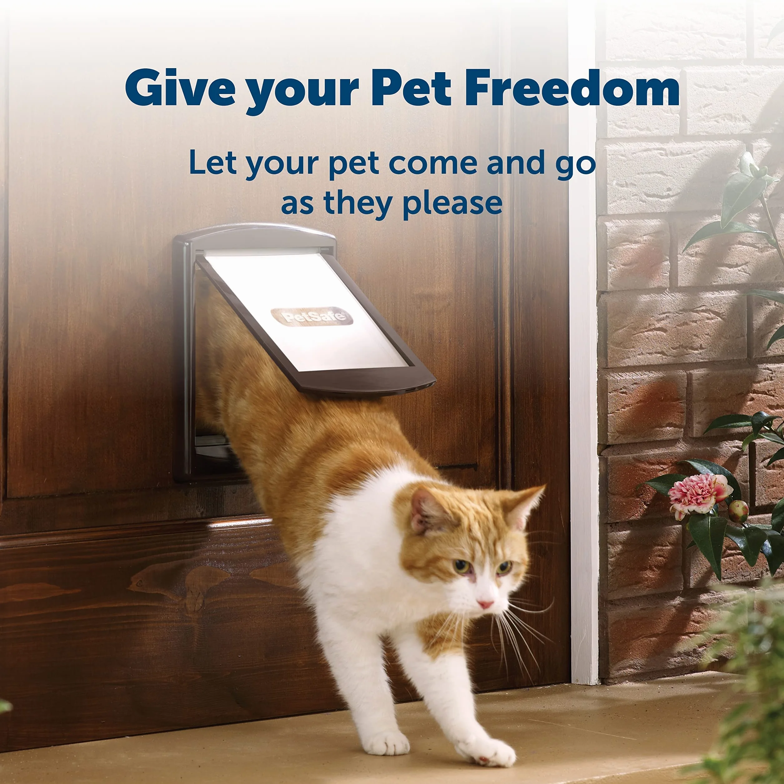 PetSafe Staywell Porta per Animali Domestici a 2 Vie, Installazione Rapida, Piccola Bianca