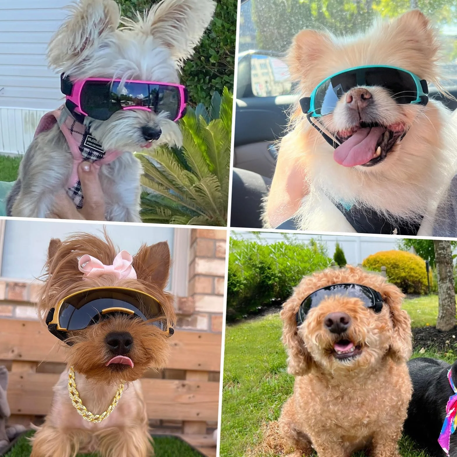 NAMSAN Occhiali da sole per cani di piccola taglia, occhiali protettivi per cani di piccola taglia, antivento, impermeabili, con elastico regolabile, rosa