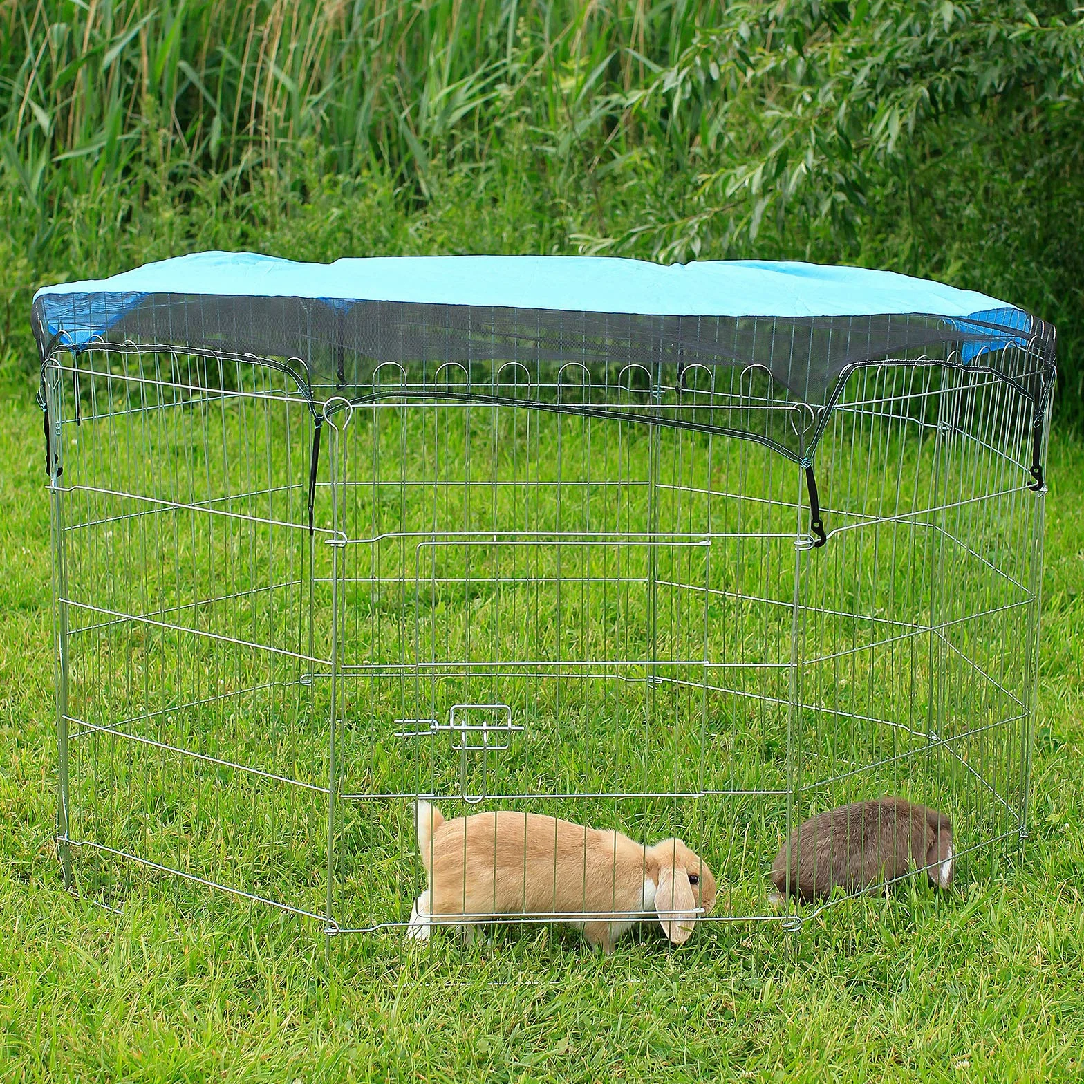 lionto Recinto per Cani Gatti Cuccioli Gabbia per Animali Piccola Taglia 59x78 cm