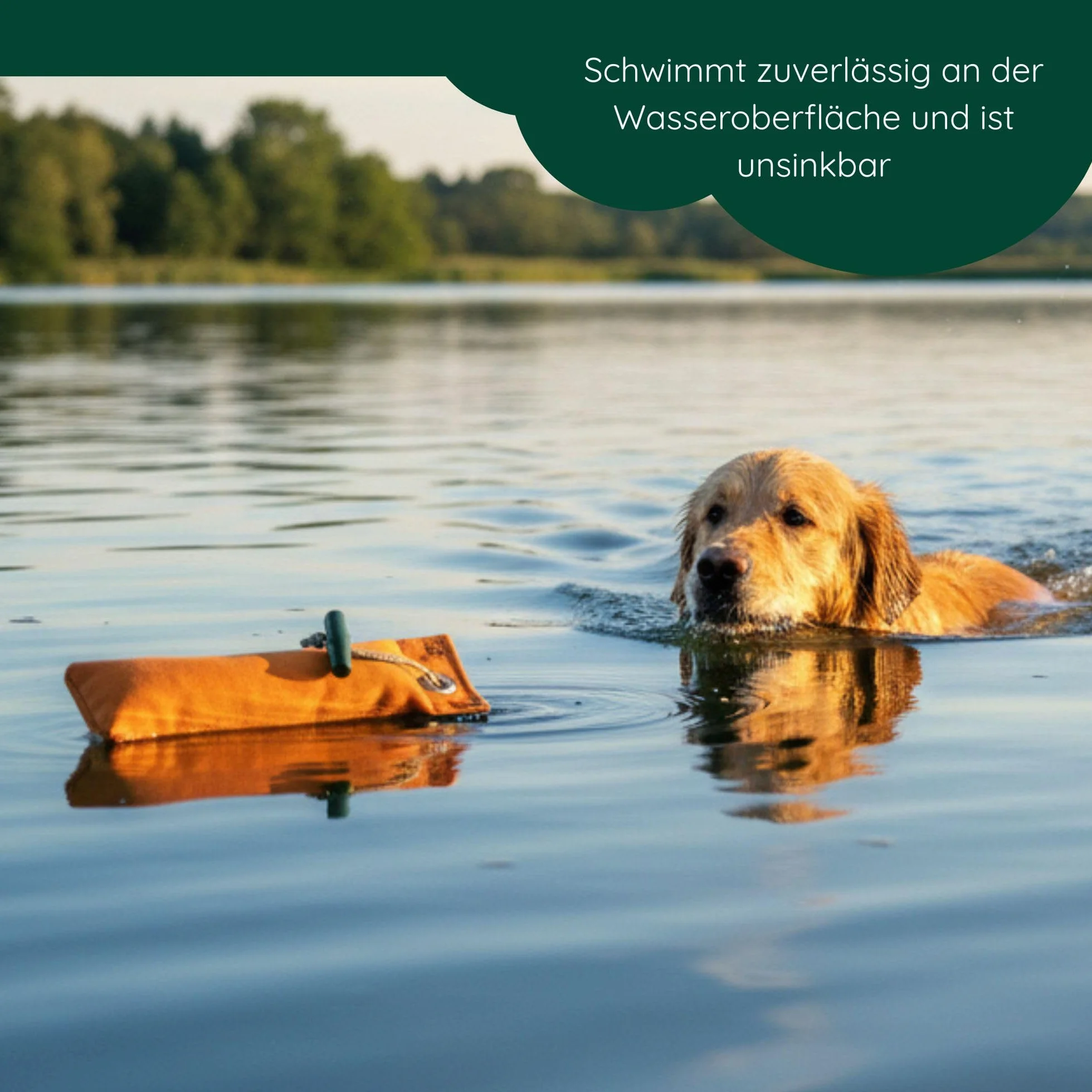 Romneys Junior Dummy 250 g – per l'allenamento di cani e rifugi, galleggiante (arancione + verde)