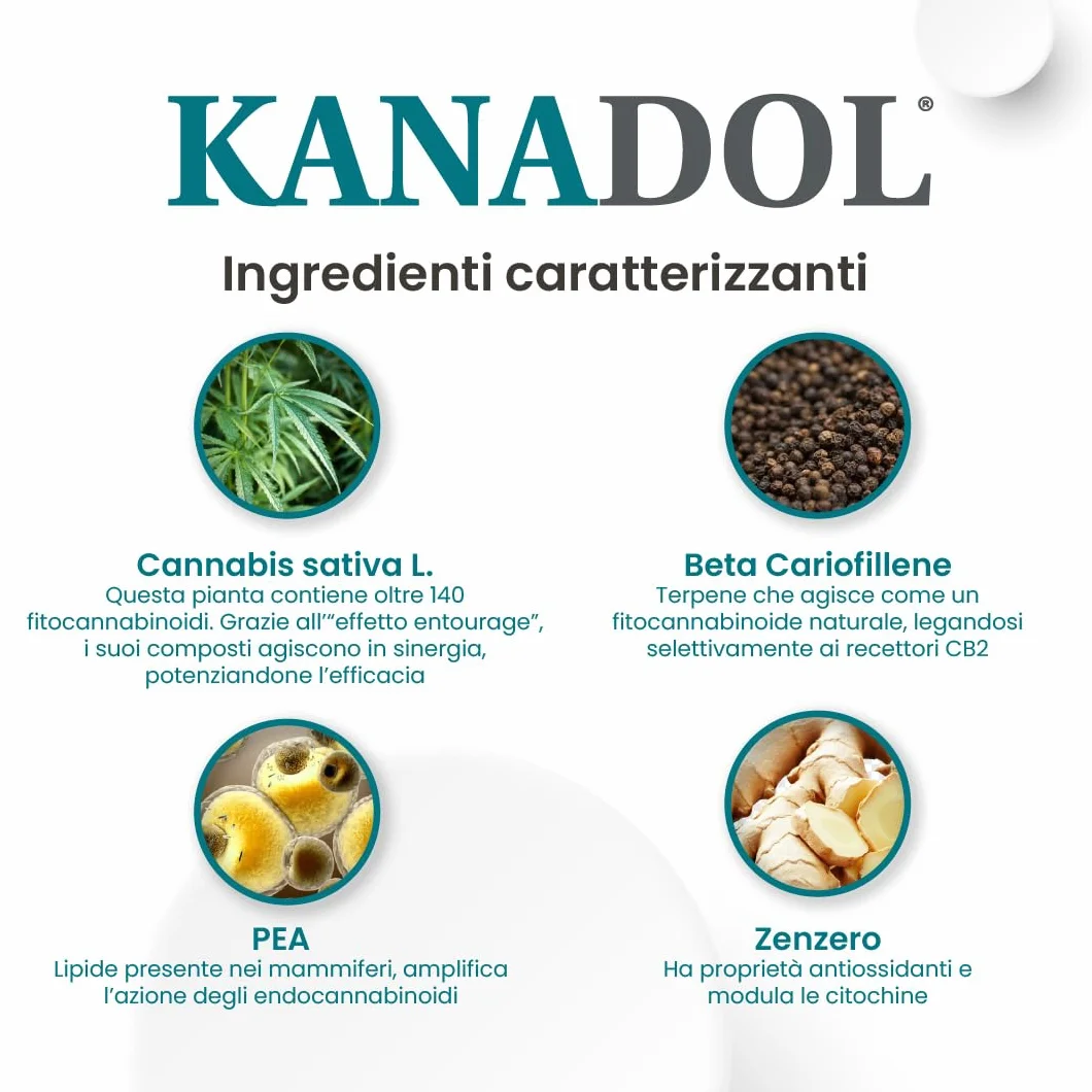 Aurora Biofarma Kanadol 50 Compresse - Mangime complementare per sistema nocicettivo ed endocannabinoide per Cani e Gatti
