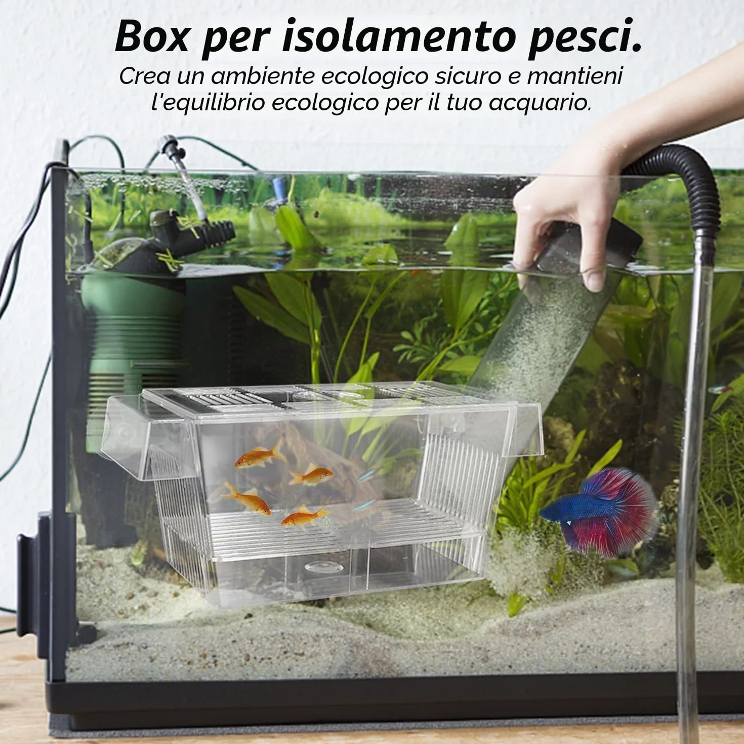 Scatola di isolamento trasparente a doppio strato, multifunzionale, galleggiante, con ventosa, per la cura di pesci piccoli nell'acquario, 12,6 x 7 x 7 cm
