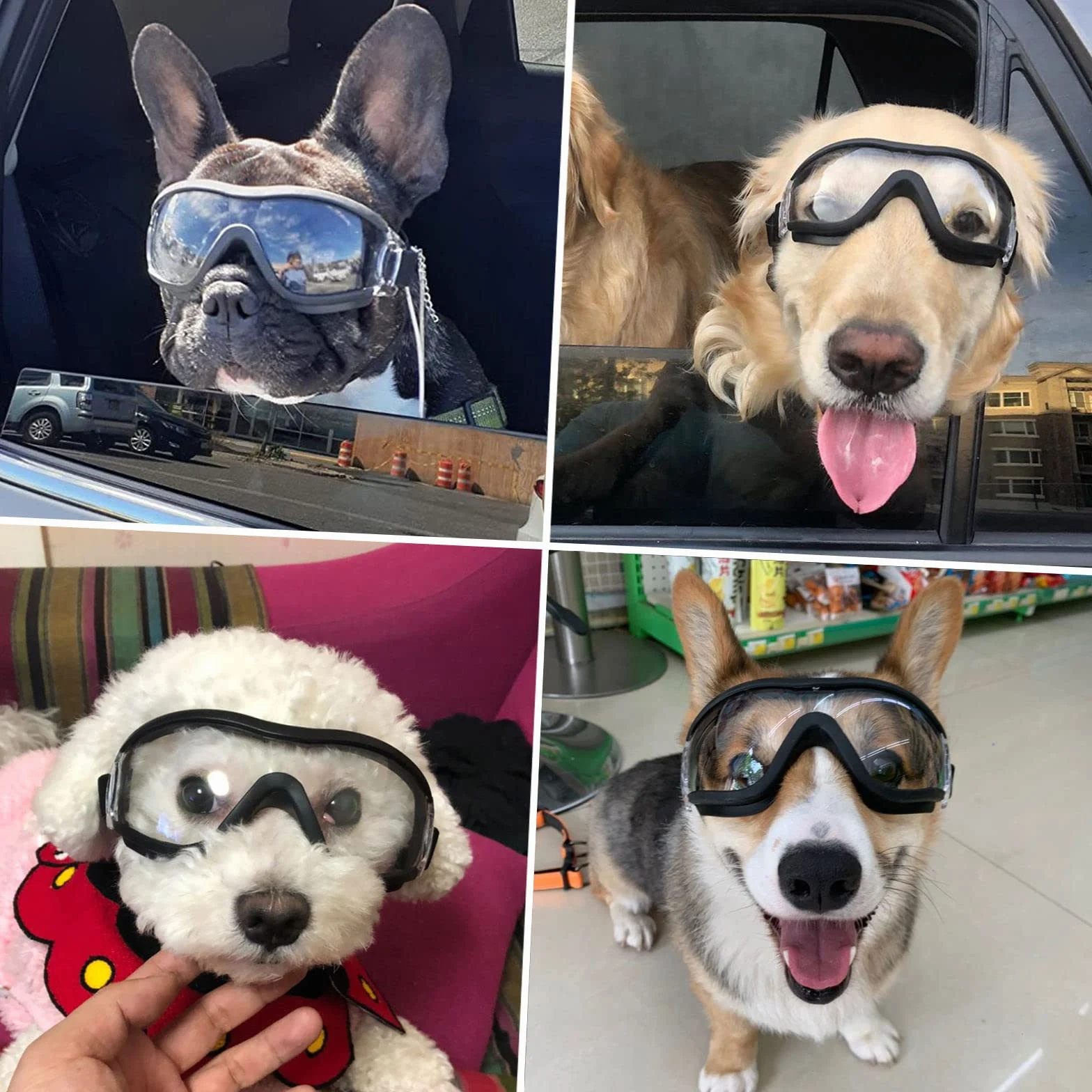 Namsan Occhiali da sole per cani - Regolabili, impermeabili, antivento - Occhiali di protezione per cani di taglia media/grande - Trasparente