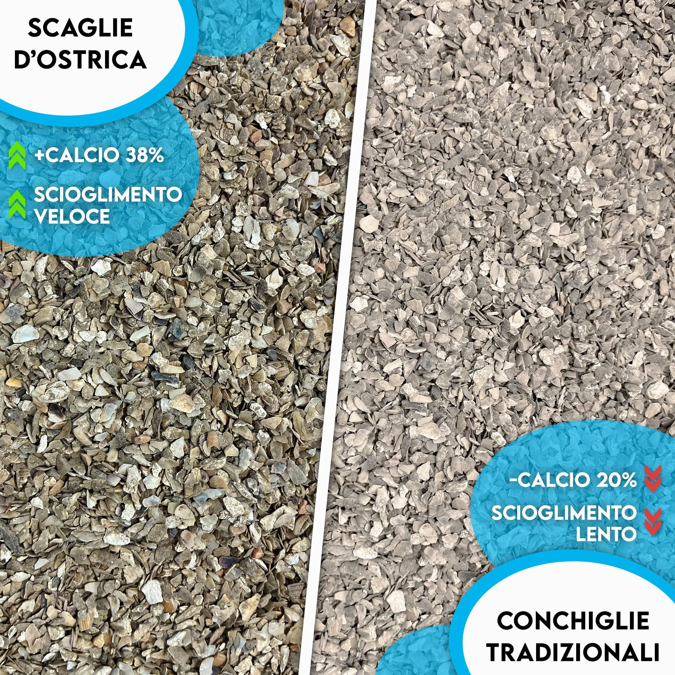 ZOMAPET OSTRIK Mangime Galline Ovaiole a base di scaglie d’ostrica 3/5mm 450gr, Grit per galline ovaiole specifico per uova più sane, mangime uccelli selvatici - Made in Italy
