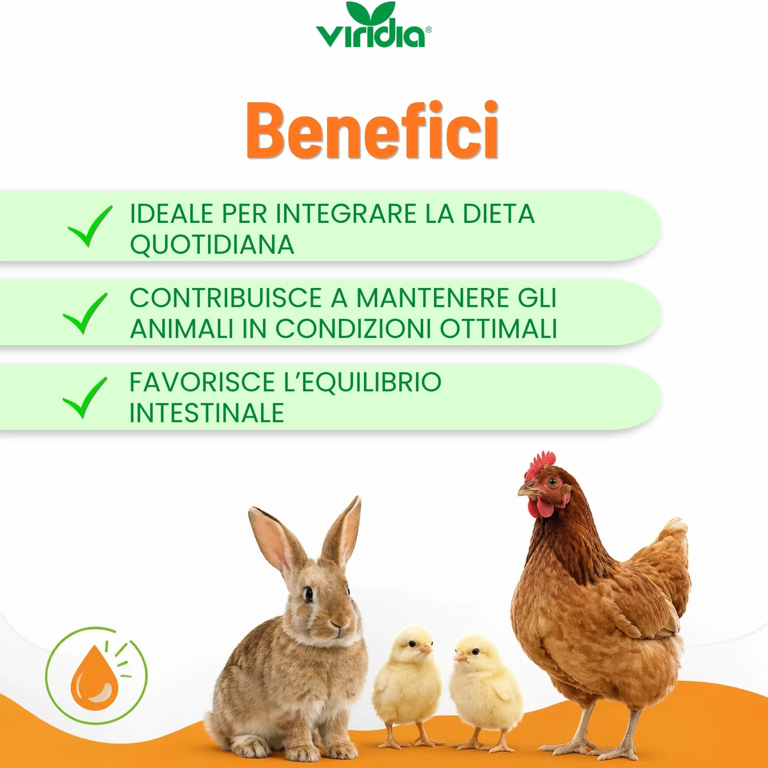 viridia Coccidion Plus Liquido 100 ml – Mangime Complementare per Volatili e Conigli, Supporto Intestinale con Acido Acetico, Equilibrio Intestinale, Facile da Diluire in Acqua da Bere