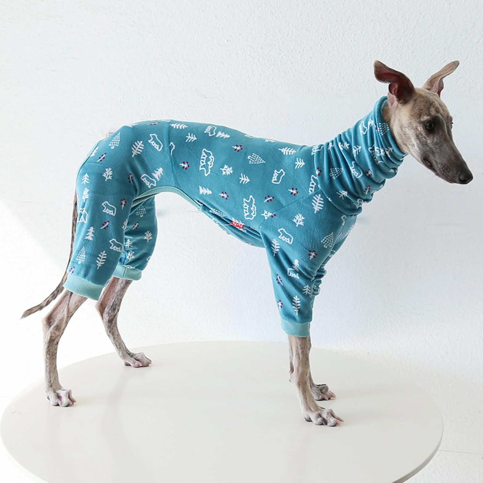 Pigiama per cani levriero italiano dolcevita whippet cotone morbido tuta da casa blu XXL
