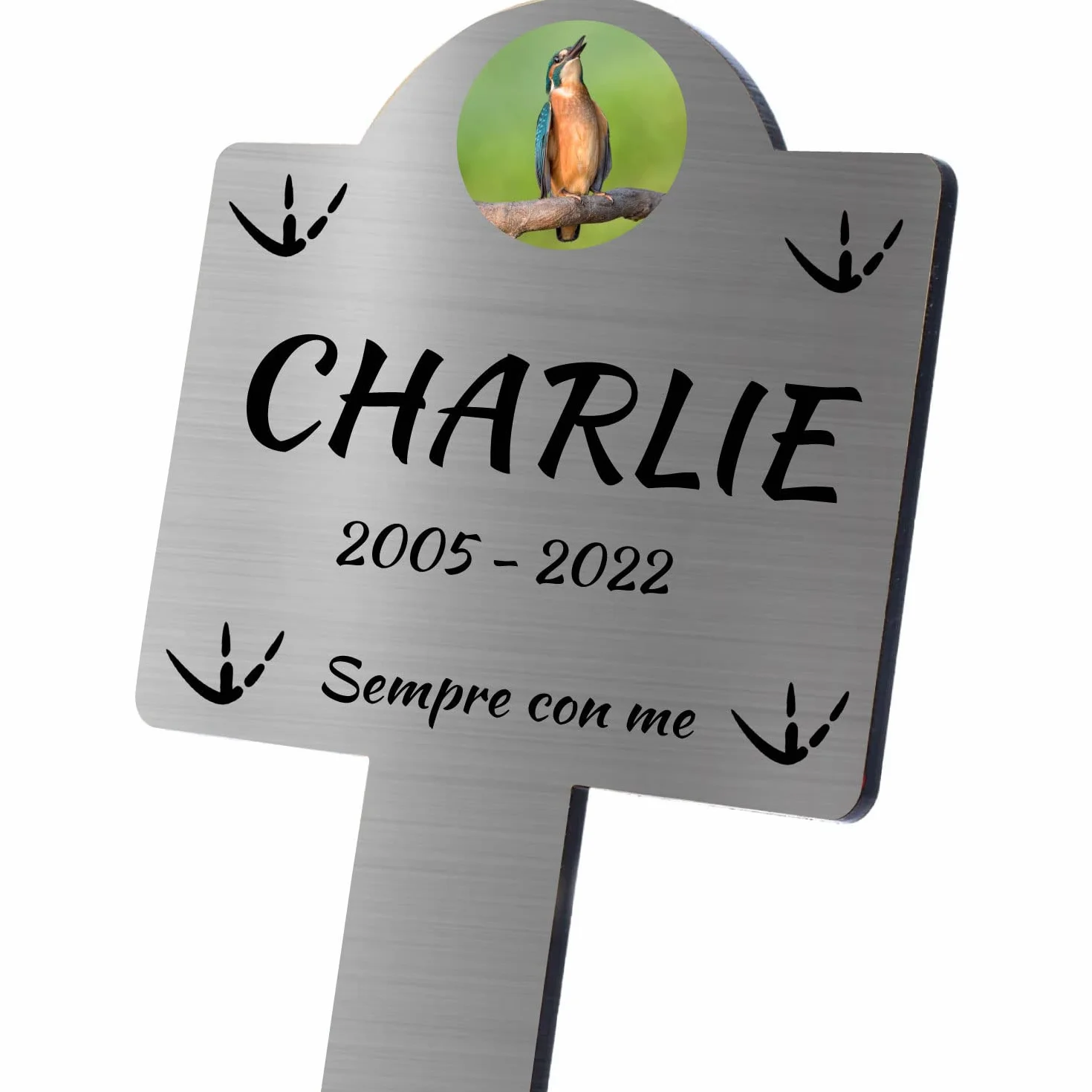 Targhetta commemorativa da Giardino per Animali Domestici Impermeabile 25x12 cm Argento