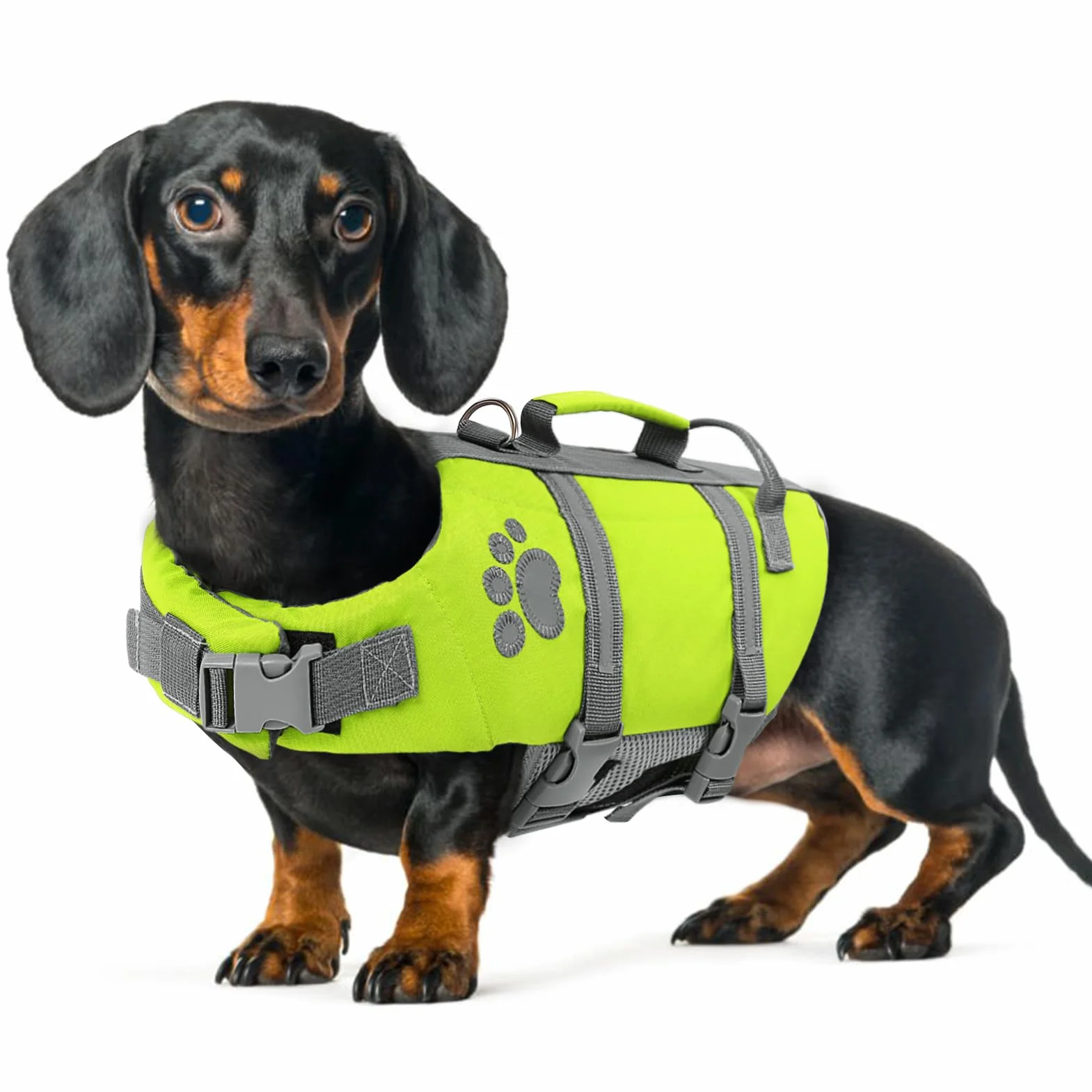 Queenmore Salvagente Cane Taglia Piccola Regolabile Riflettente Per Cani Piccoli Nuotare Kayak Paddleboarding (S, Verde)