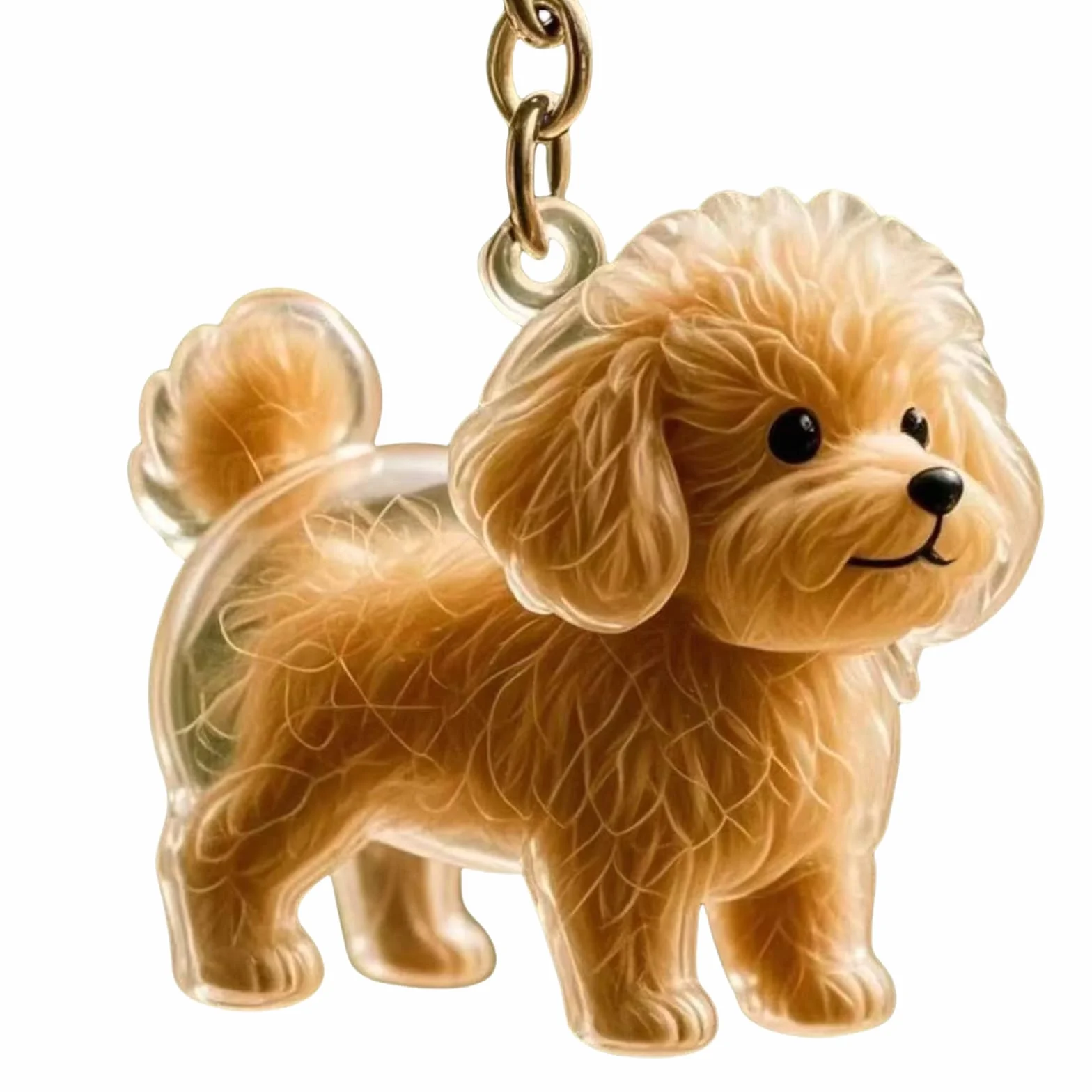 Portachiavi commemorativo trasparente per animali domestici, per peli di cani, per collezionisti di cani, regalo per proprietari di cani in lutto