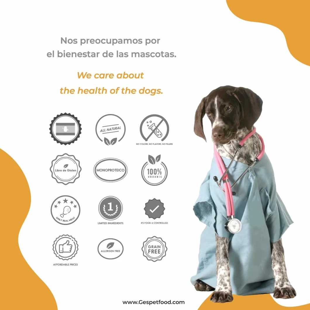Snack Disidratato per Cani - Strisce di Pelle di Bovino - Sacchetto da 1kg - 15 cm - Sapore Pancetta - Senza Cereali - Gengive Sane - Dolci Cani - Prodotto in Spagna - GESPETFOOD
