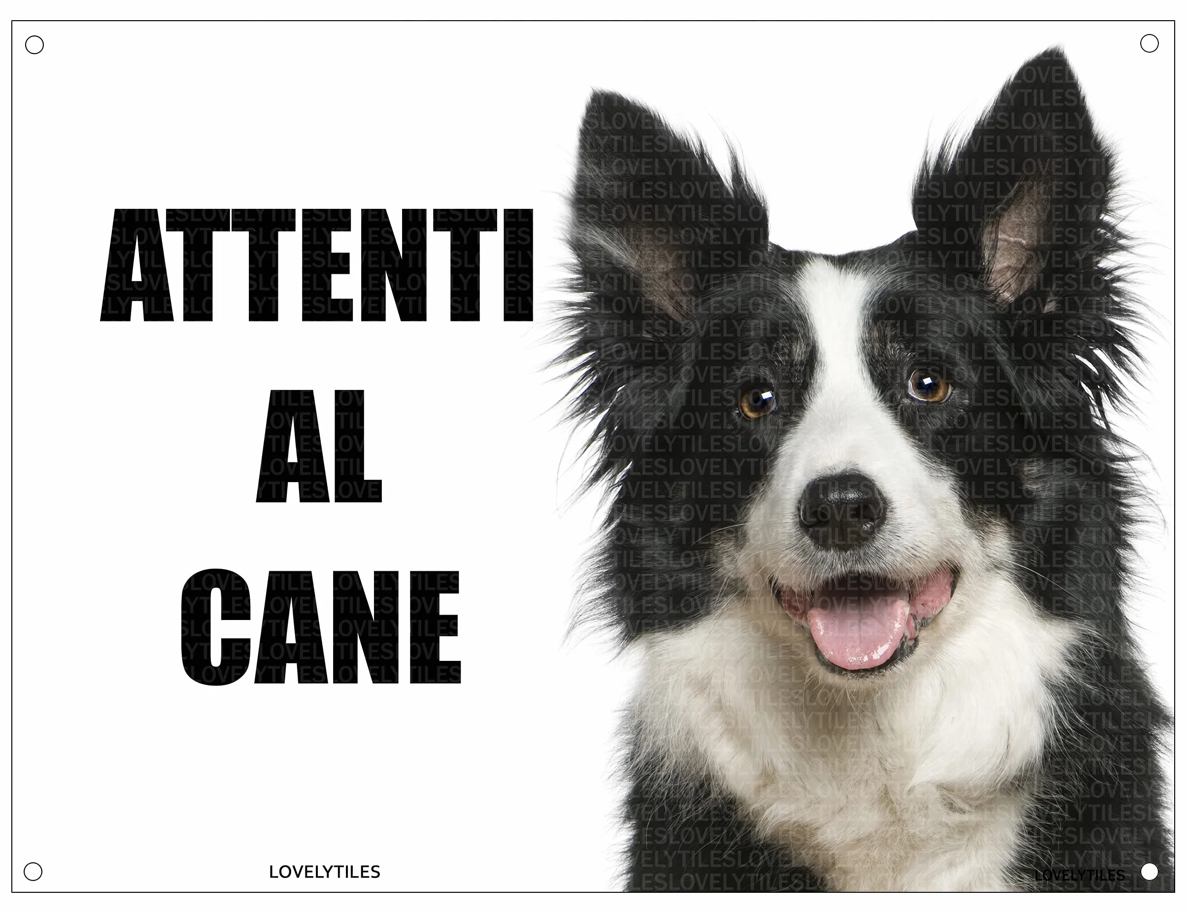 BORDER COLLIE attenti al cane mod 2 TARGA cartello IN METALLO (15X20)