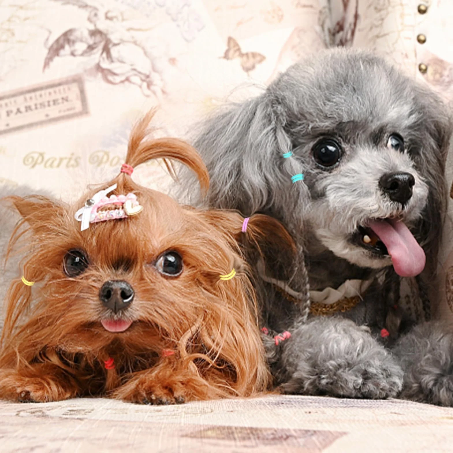 10 Confezioni Elastici per Cani, Elastici Piccoli Coloful Mini Scrunchies per Cani Elastici per Capelli Cravatte per Capelli Accessori per Capelli per Toelettatura Cani Fai da Te per Cani Gatti