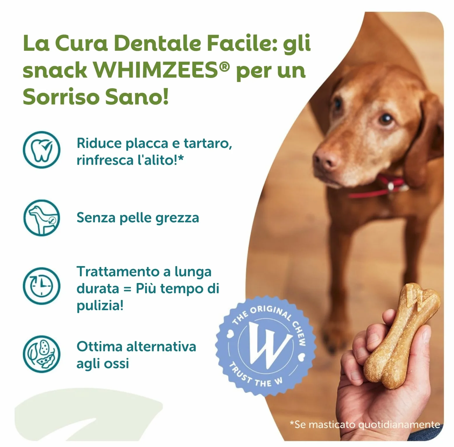 WHIMZEES Box Varietà L, 30 Pezzi – Taglia L, Snack per Cani di Taglia Grande, Naturali & Senza Cereali, Vegetariane, Senza Zuccheri Aggiunti