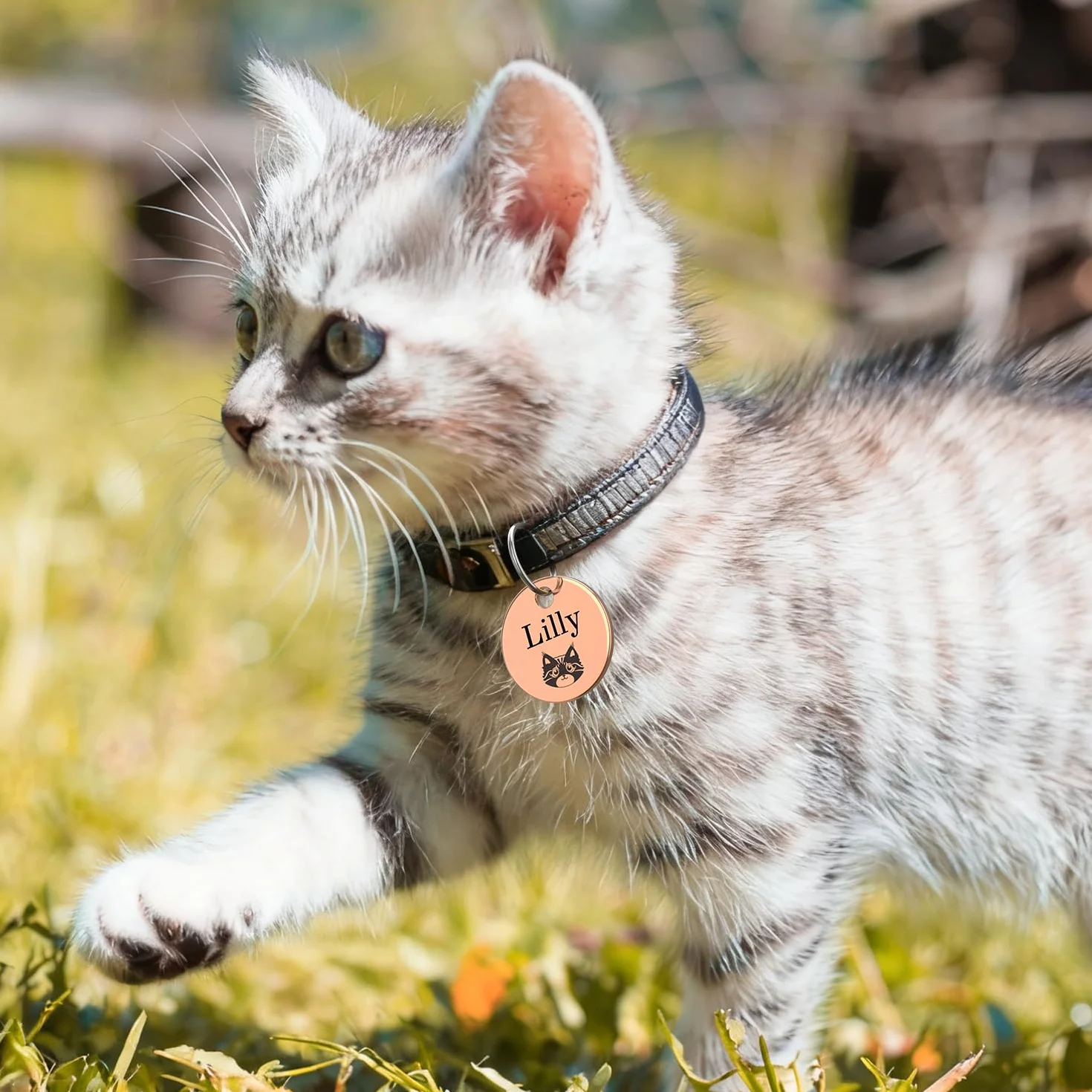 Targhetta identificativa per animali domestici in acciaio inossidabile lucido con incisione laser doppia faccia - Placca rotonda per cani e gatti
