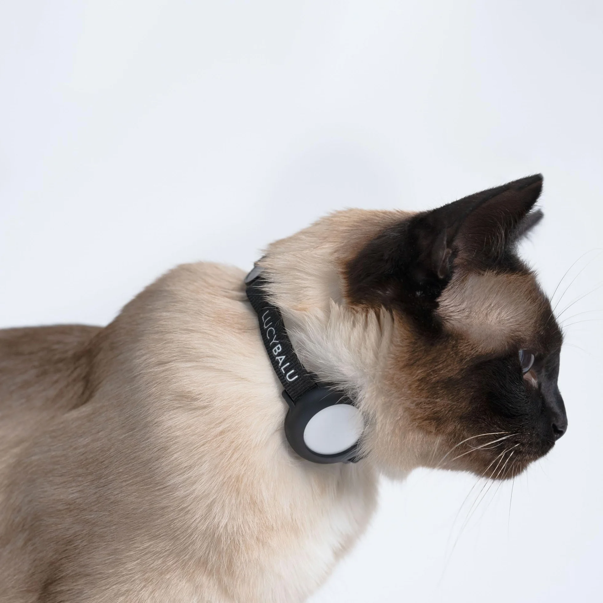 LucyBalu® Dori Collare AirTag antistrappo in nylon per gatti I Nero
