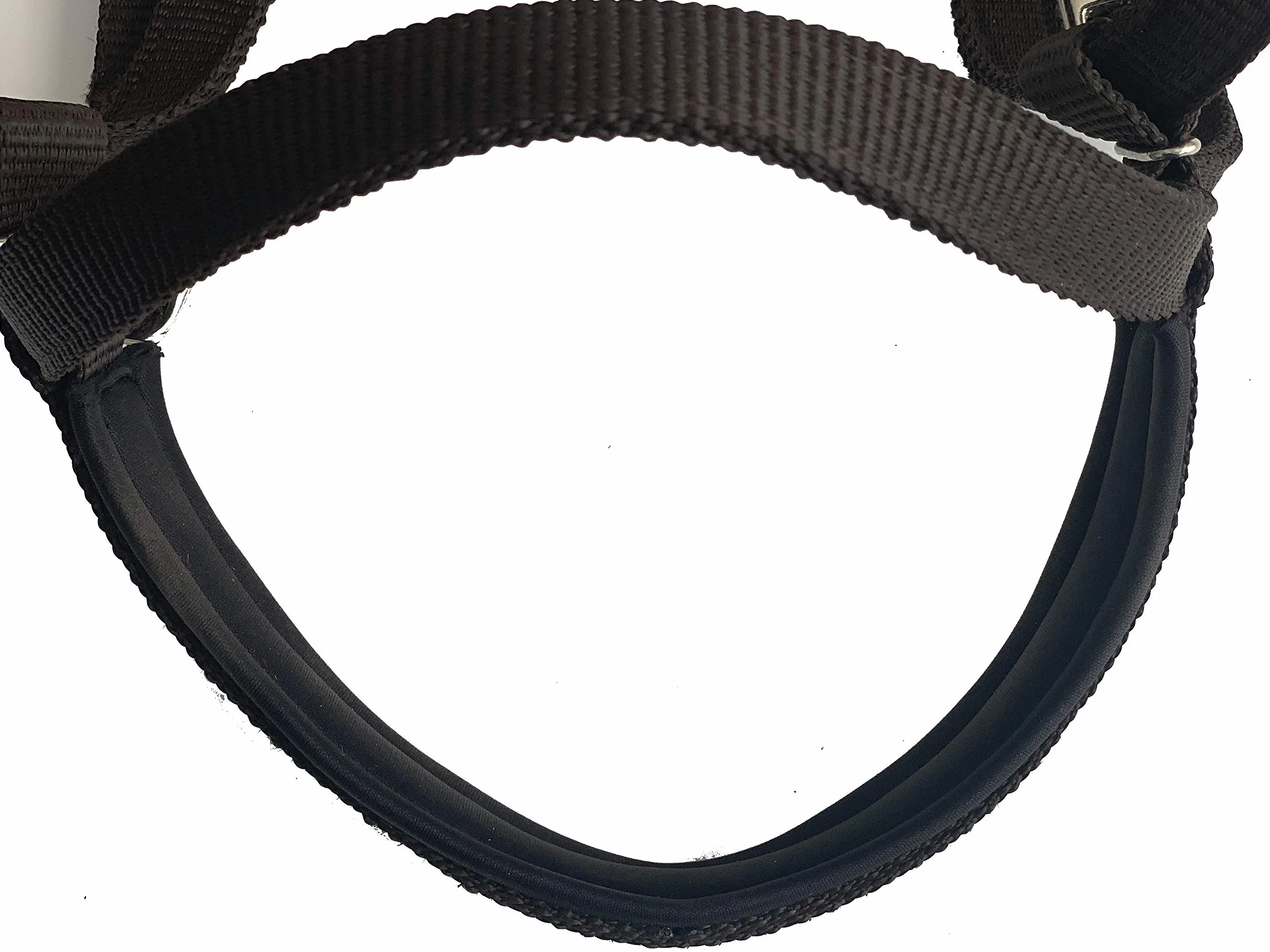 Majestic Ally Testiera imbottita in nylon con redini per cavalli (verde cacciatore)