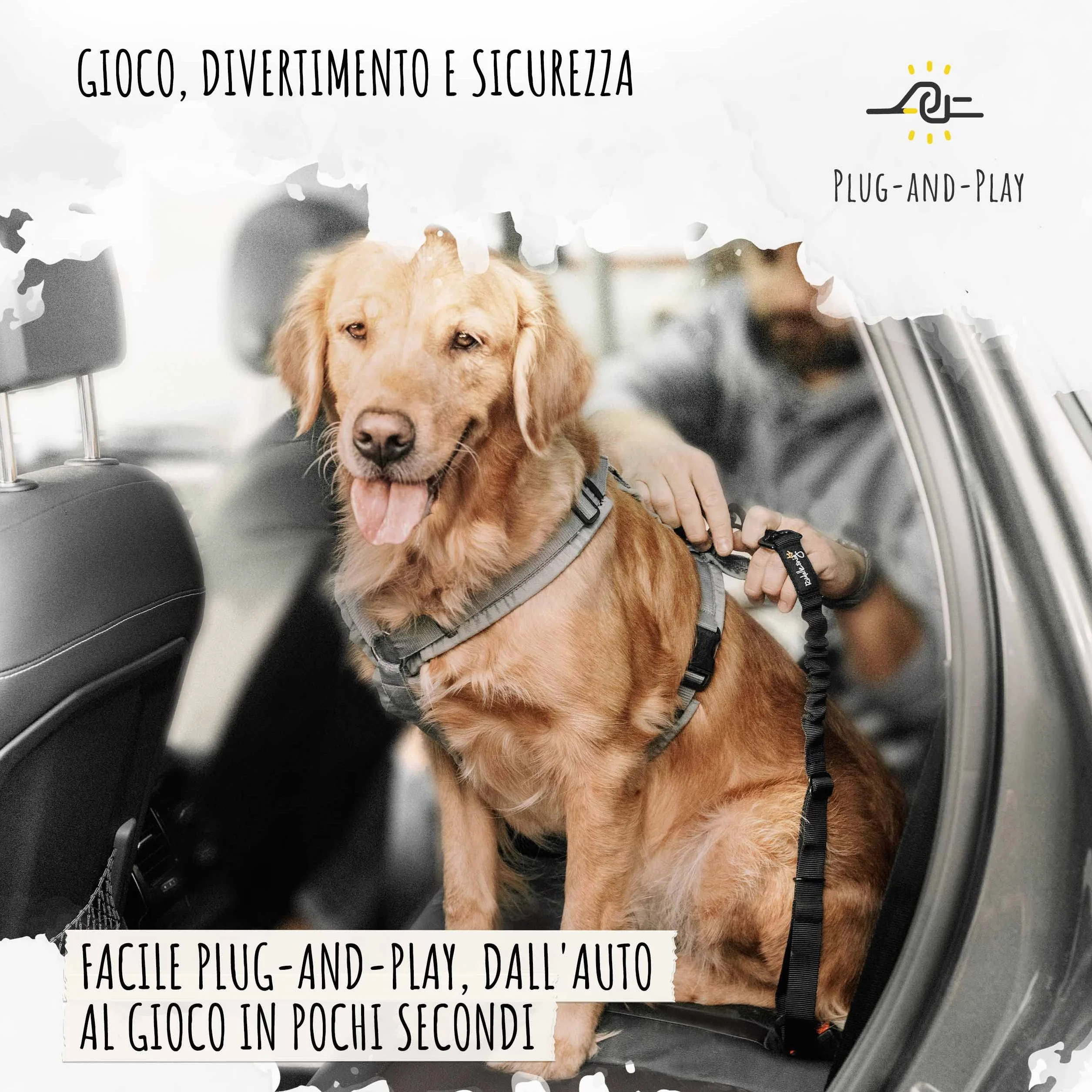 Rudelkönig Cintura di Sicurezza Cani Auto Elastica Regolabile Compatibile Tutti i Tipi di Auto