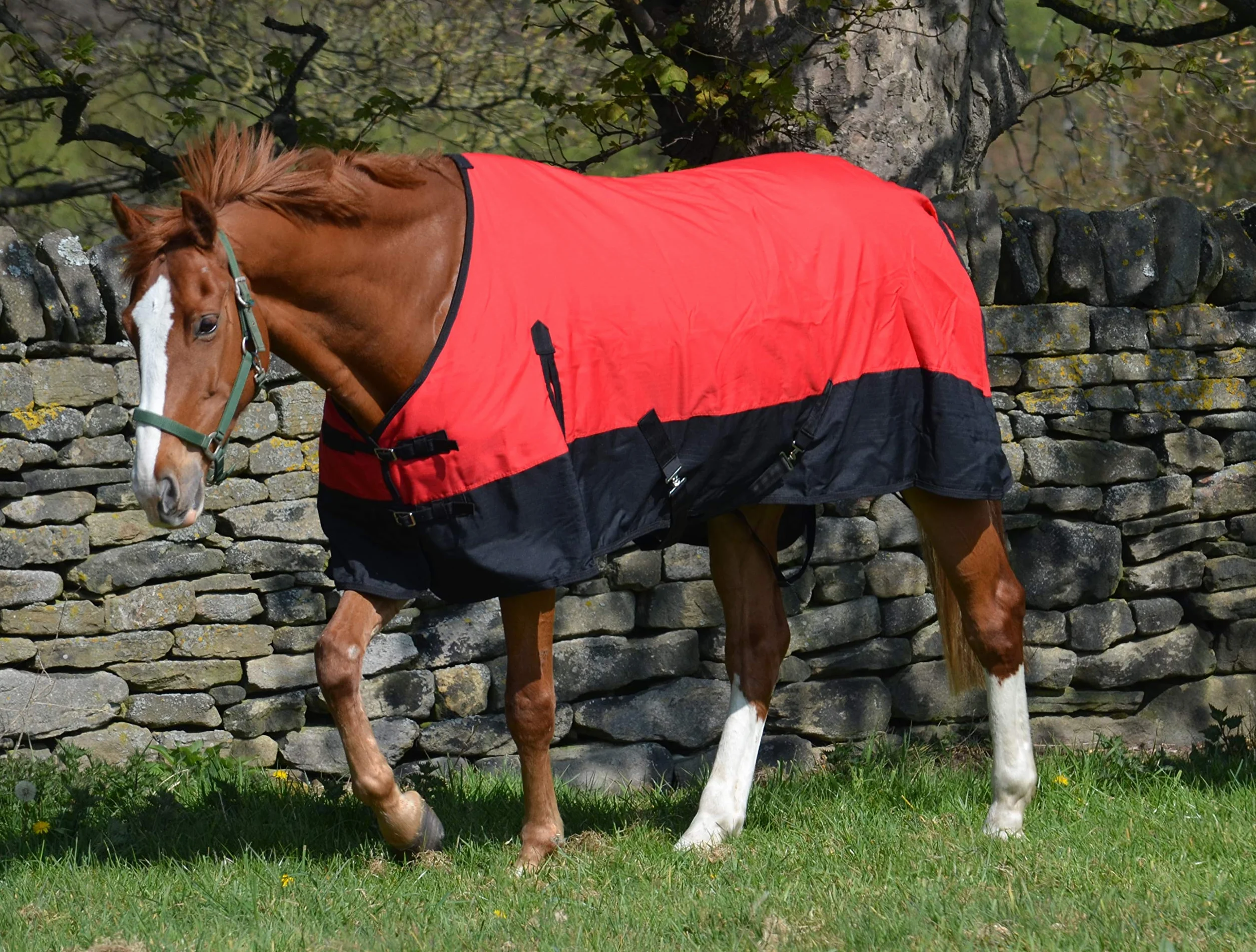 Coperta leggera impermeabile per cavallo 600d, imbottitura 100 g, collo standard – 1,8 m