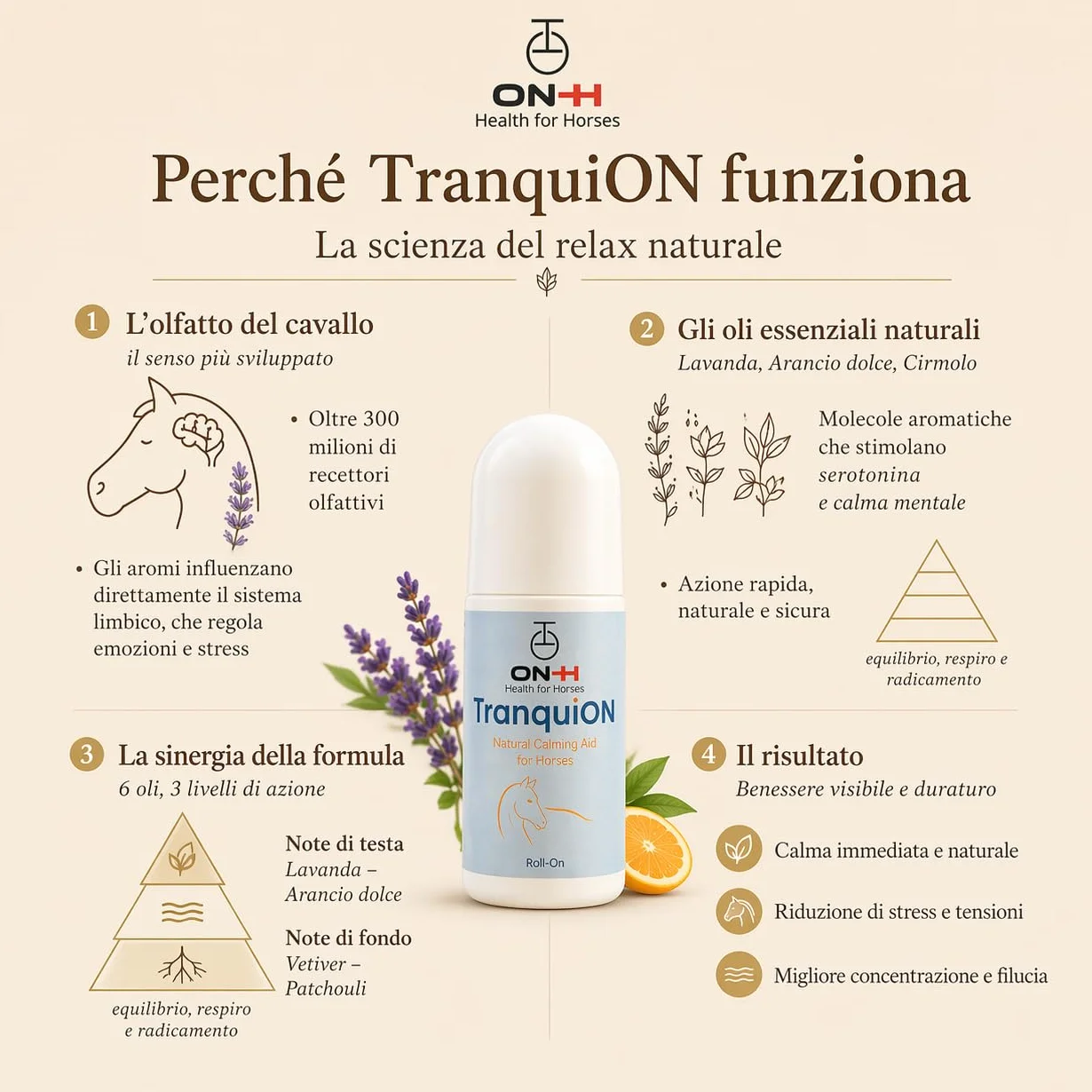 ON-H TranquiON Roll-On per Cavalli | Gel Rilassante Naturale Antistress | Applicazione Localizzata - Ideale Prima di Trasporto, Gara e Lavoro | azione Calmante senza Sedazione | Uso Quotidiano