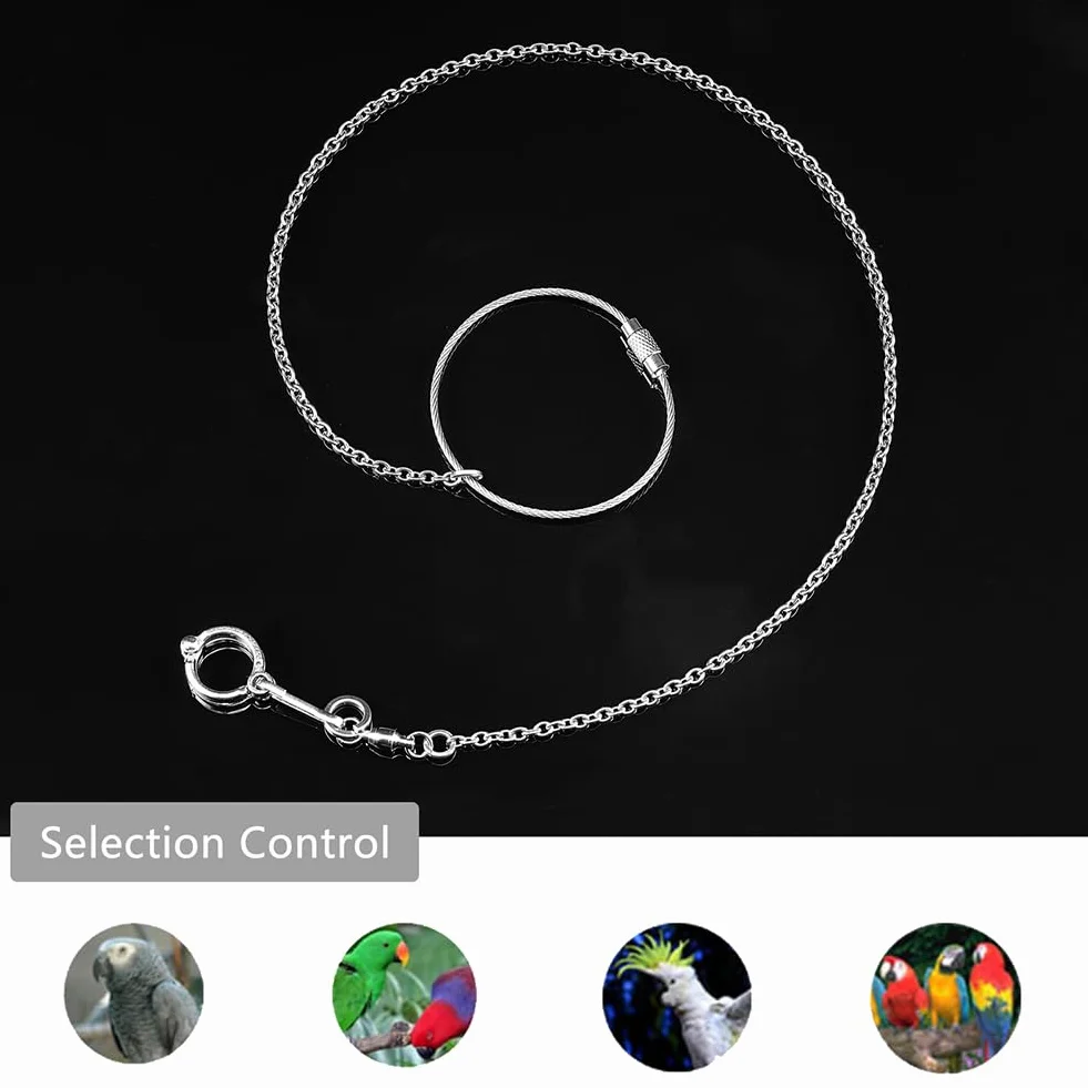 AHANDMAKER Catenina per Pappagalli per Uccelli da Compagnia, Catena in Acciaio Inox con Piedistallo per Uccelli con Anello, Accessori per Anelli Pappagallo Caviglia (Modello 12, 11.5 millimetro)