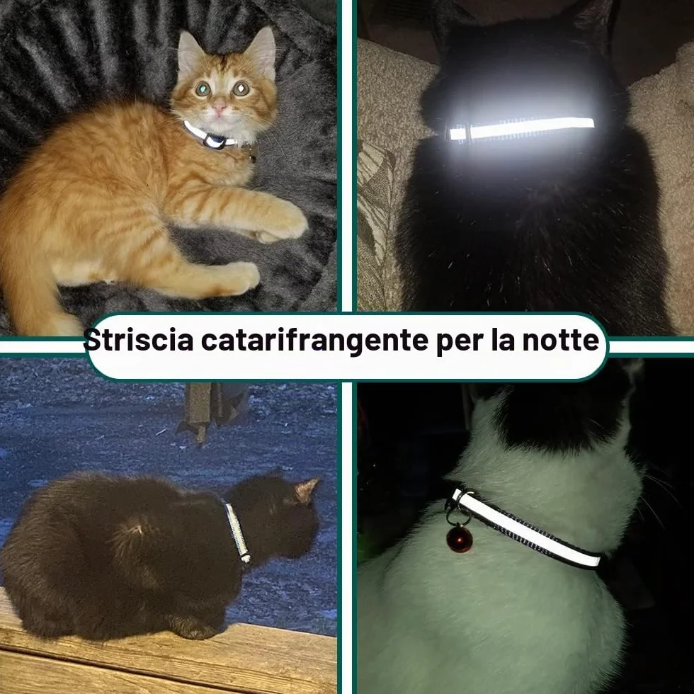 Collare Gatto Airtag, Collare Riflettente Antistrozzo per Gatti con Custodia Protettiva Air Tag (GPS AirTag Non Incluso) e Campanellino, Adatto a Gatti di Tutte Le Taglie(Nero)
