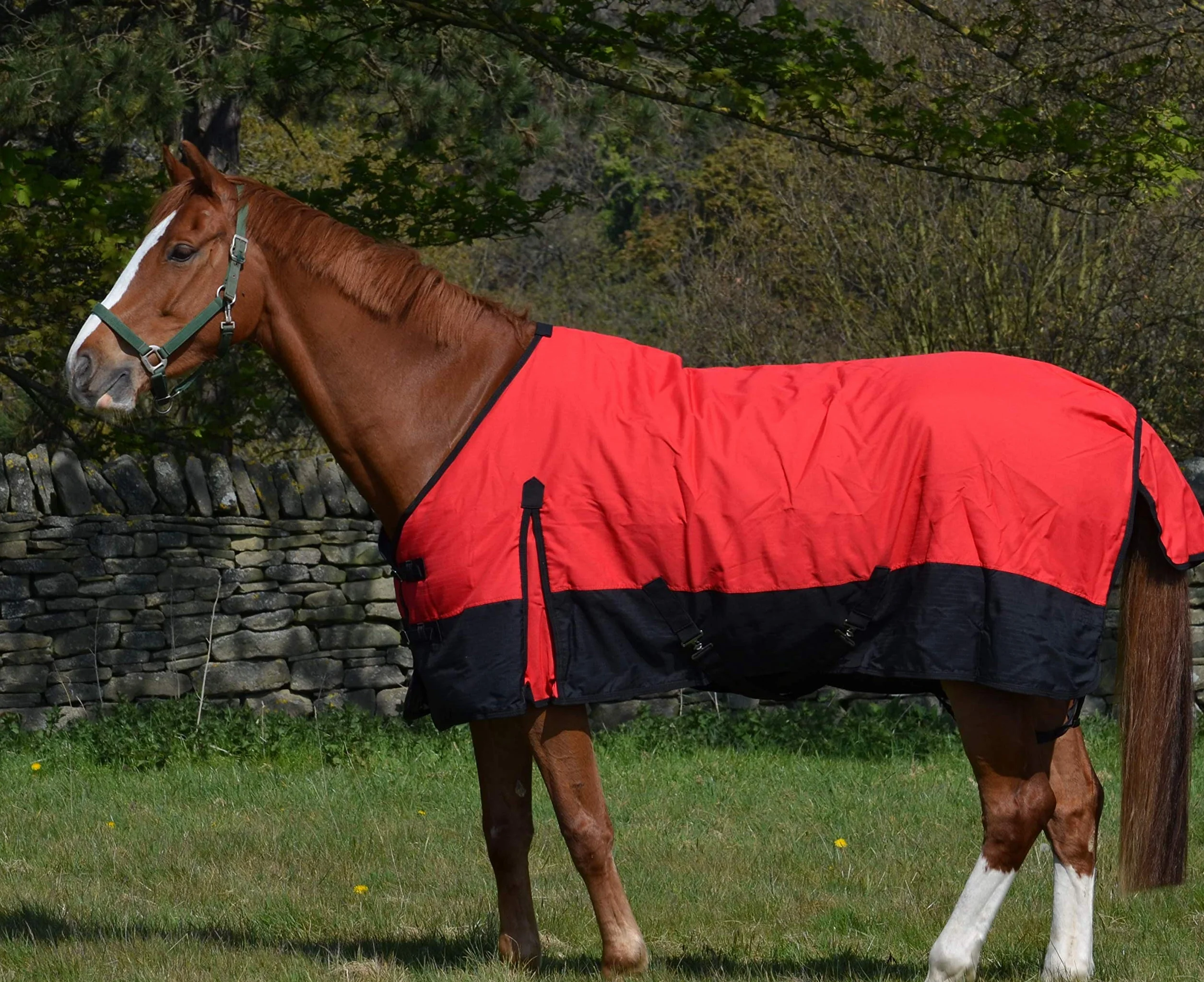 Coperta leggera impermeabile per cavallo 600d, imbottitura 100 g, collo standard – 1,8 m