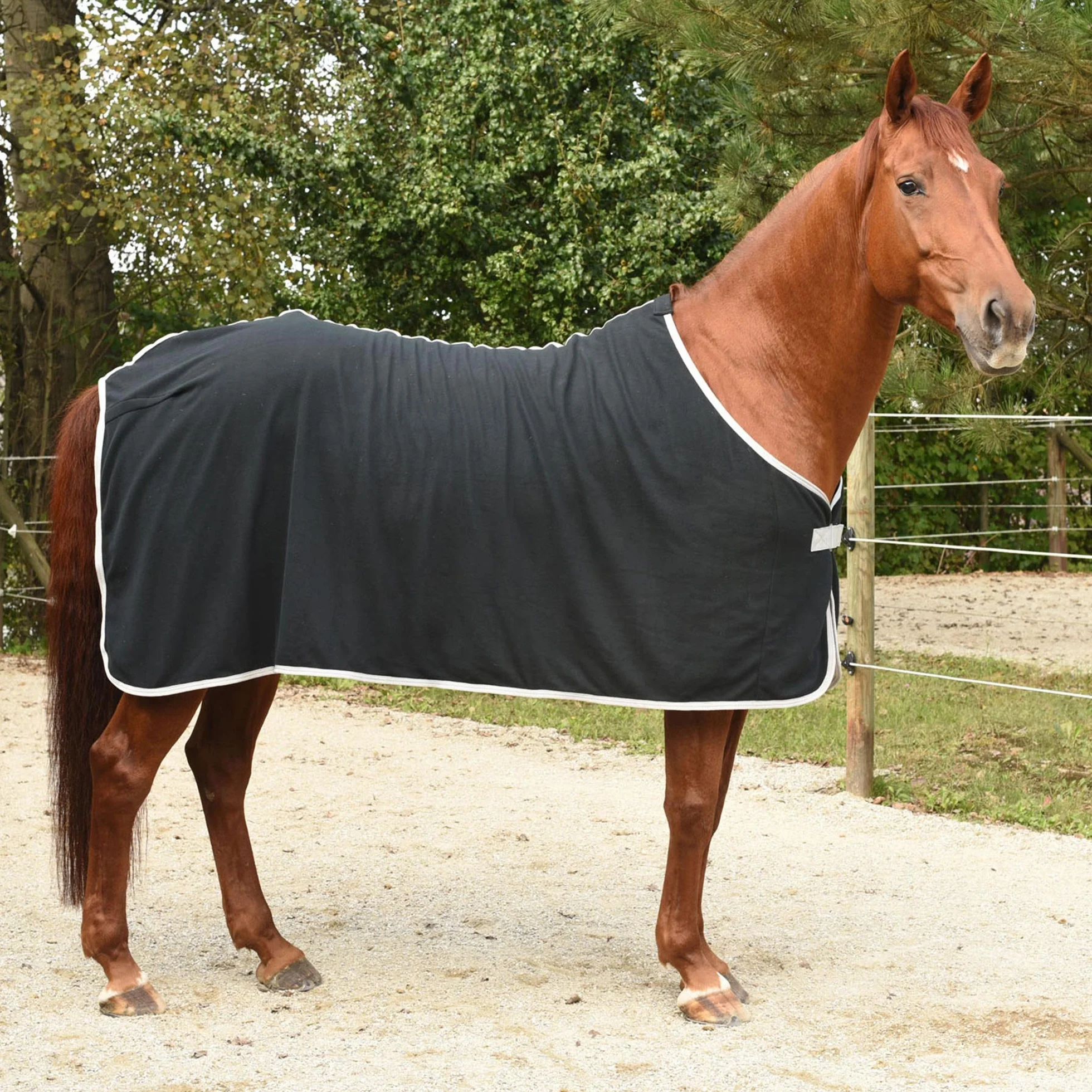 Covalliero Kerbl 328678 - Coperta in Pile Economic, Nero, 135
