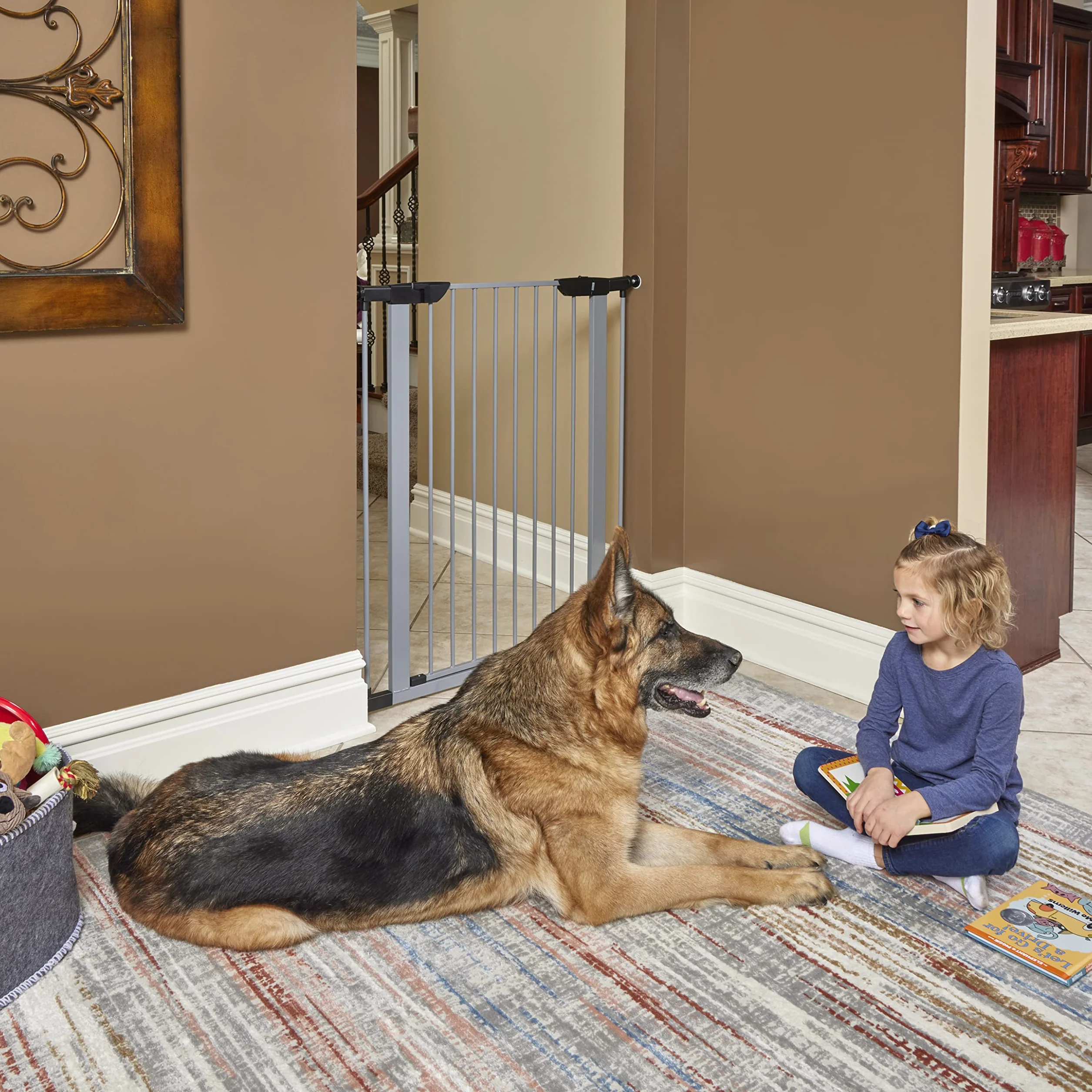 Cancello per animali domestici in acciaio 99 cm 96,5 cm grigio chiaro