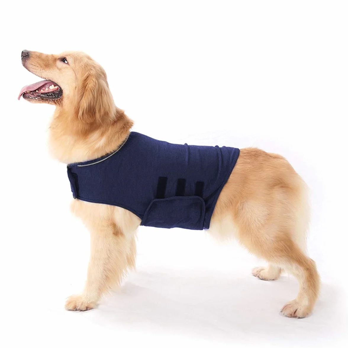 Cappotto calmante per l'ansia del cane, allevia lo stress