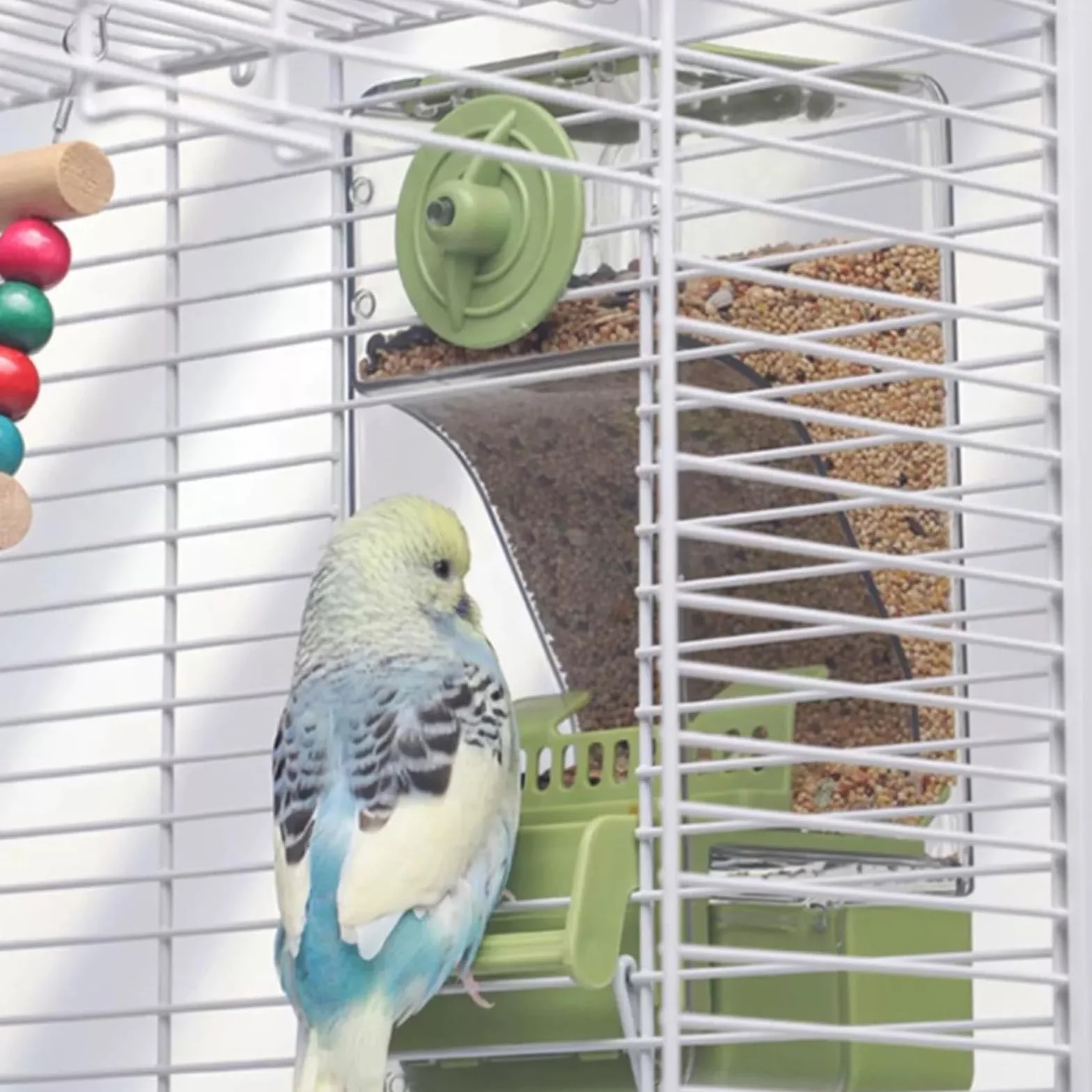 Mangiatoia automatica per uccelli, mangiatoia per gabbia per uccelli con trespolo per parrocchetto canarino calopsitta fringuello (Verde)