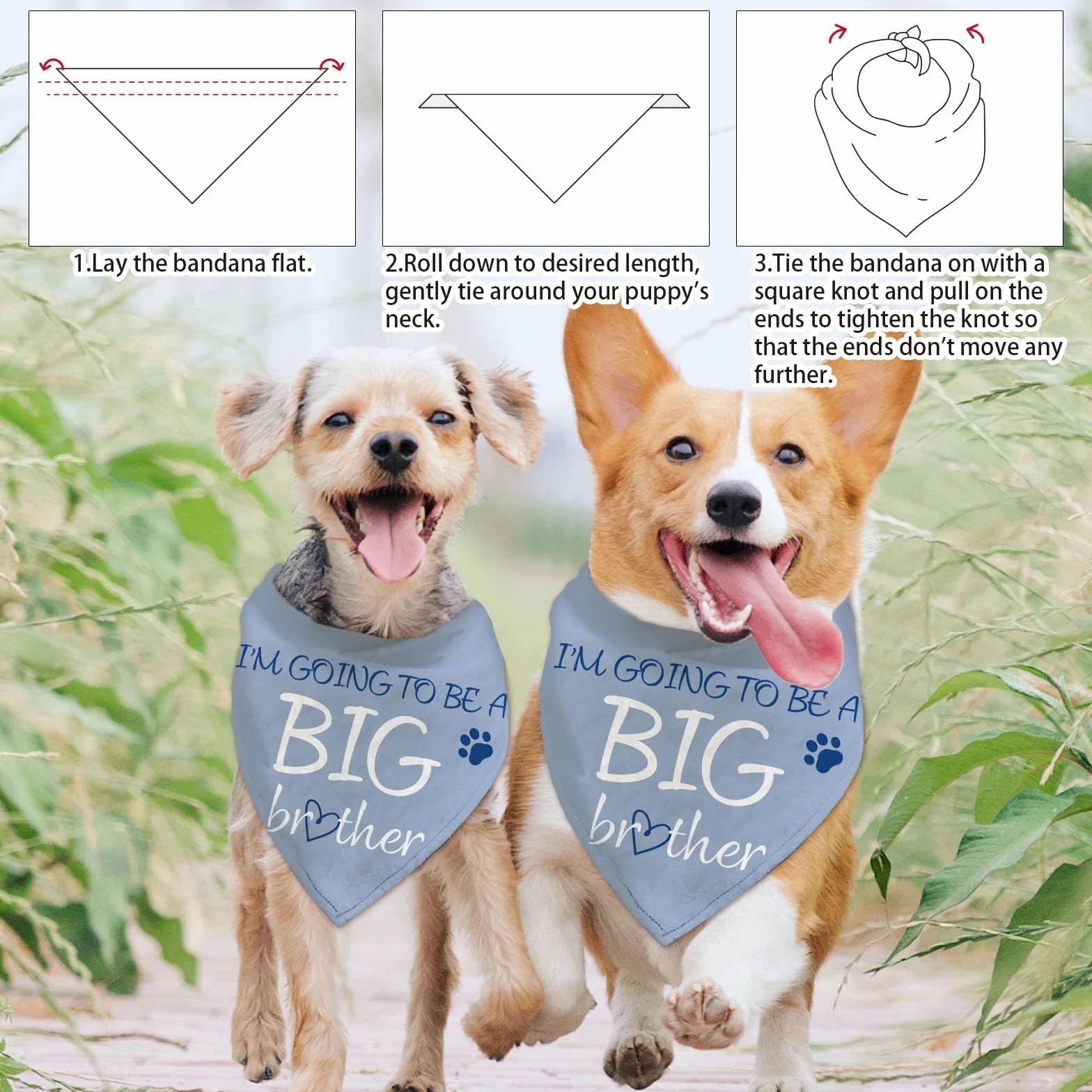 Arricraft Bandana Triangolare In Cotone per Cani Da Compagnia Diventerò Un Fratello Maggiore Sciarpa Lavabile