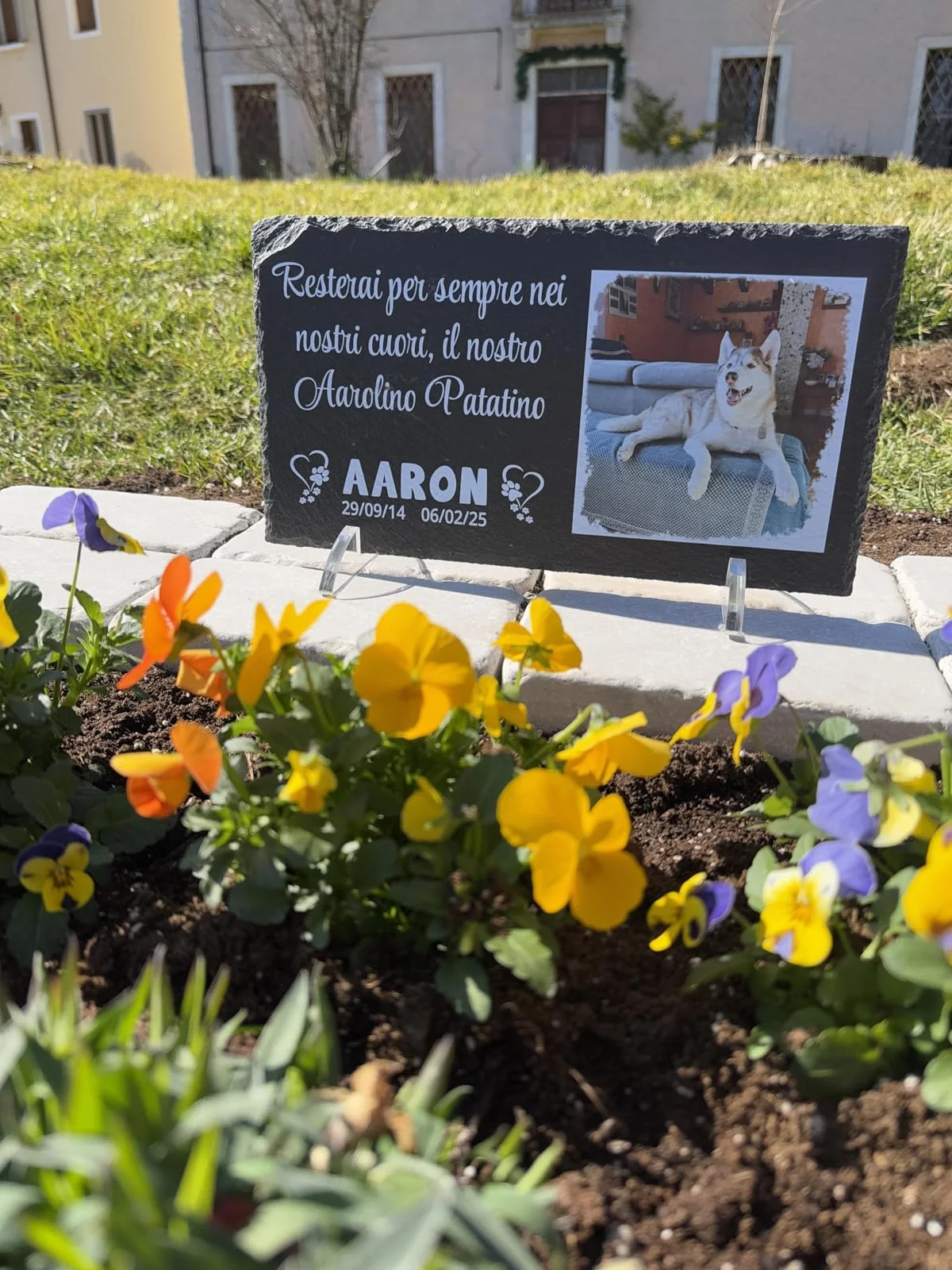 Lapide commemorativa per Cane e Gatto personalizzabile in Pietra con Foto Rettangolare 32,5x17,6cm