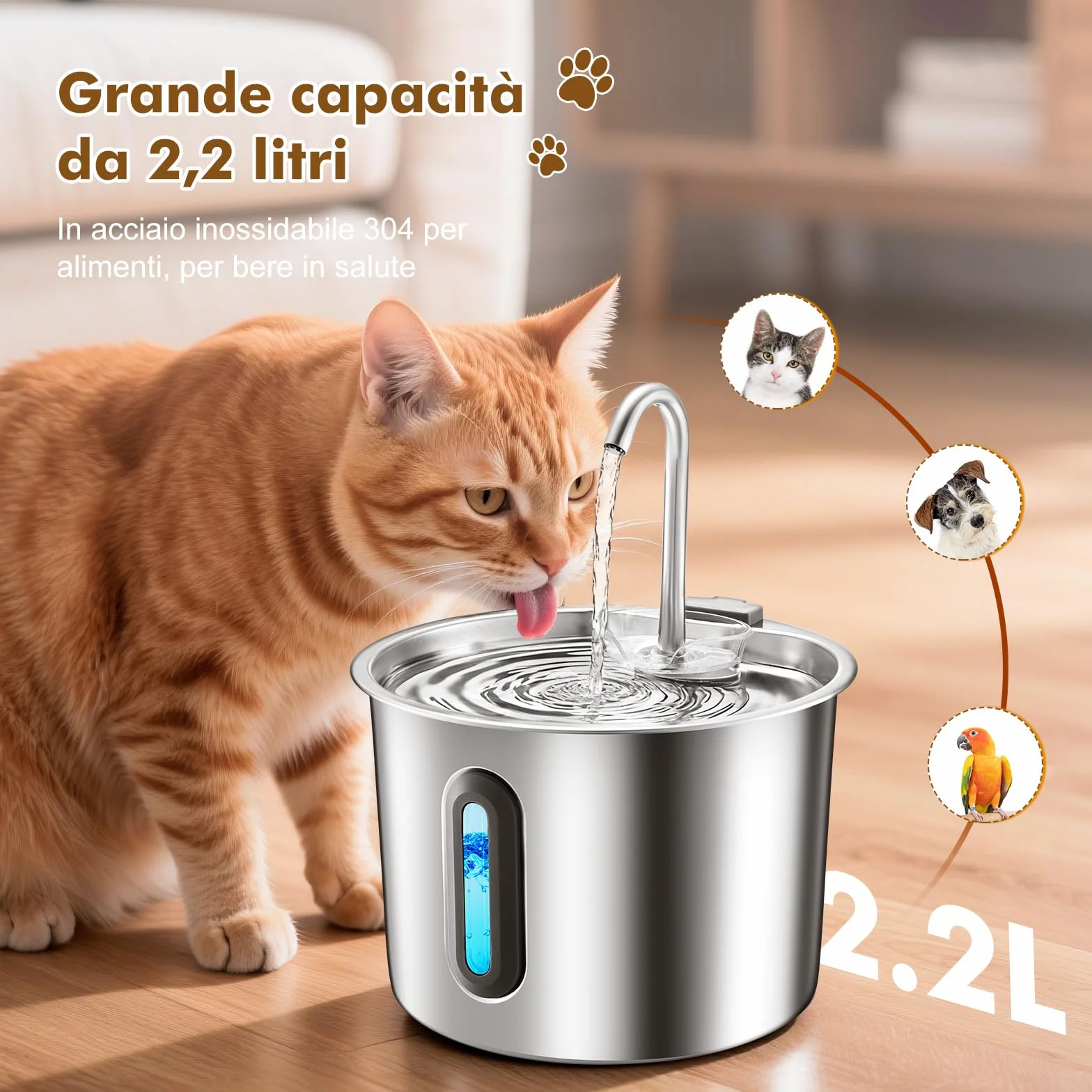 Fontanella per Gatti in Acciaio, Inox 2,2 L – Fontana Automatica con Finestra Panoramica, Pompa Ultra Silenziosa, Sistema Multi-Filtrazione + 1 Filtro e 1 Spugna – per Gatti, Cani, Piccoli Animali