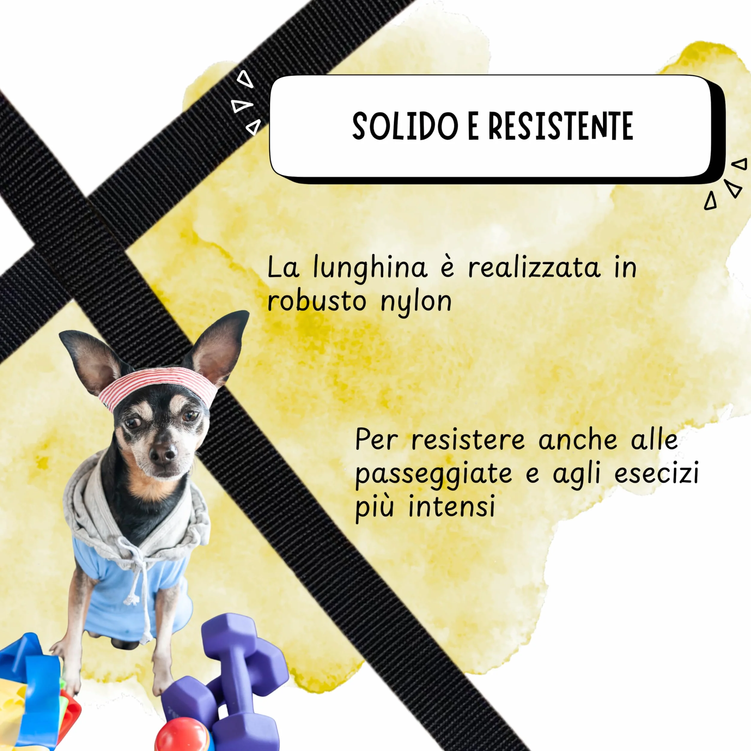 Lunghina Cane 10 Metri in Nylon Resistente – Guinzaglio Addestramento per Cani con Moschettone Girevole Antigroviglio - Nero