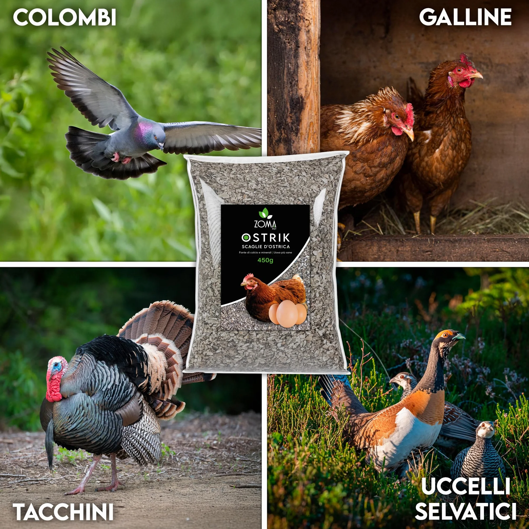 ZOMAPET OSTRIK Mangime Galline Ovaiole a base di scaglie d’ostrica 3/5mm 450gr, Grit per galline ovaiole specifico per uova più sane, mangime uccelli selvatici - Made in Italy