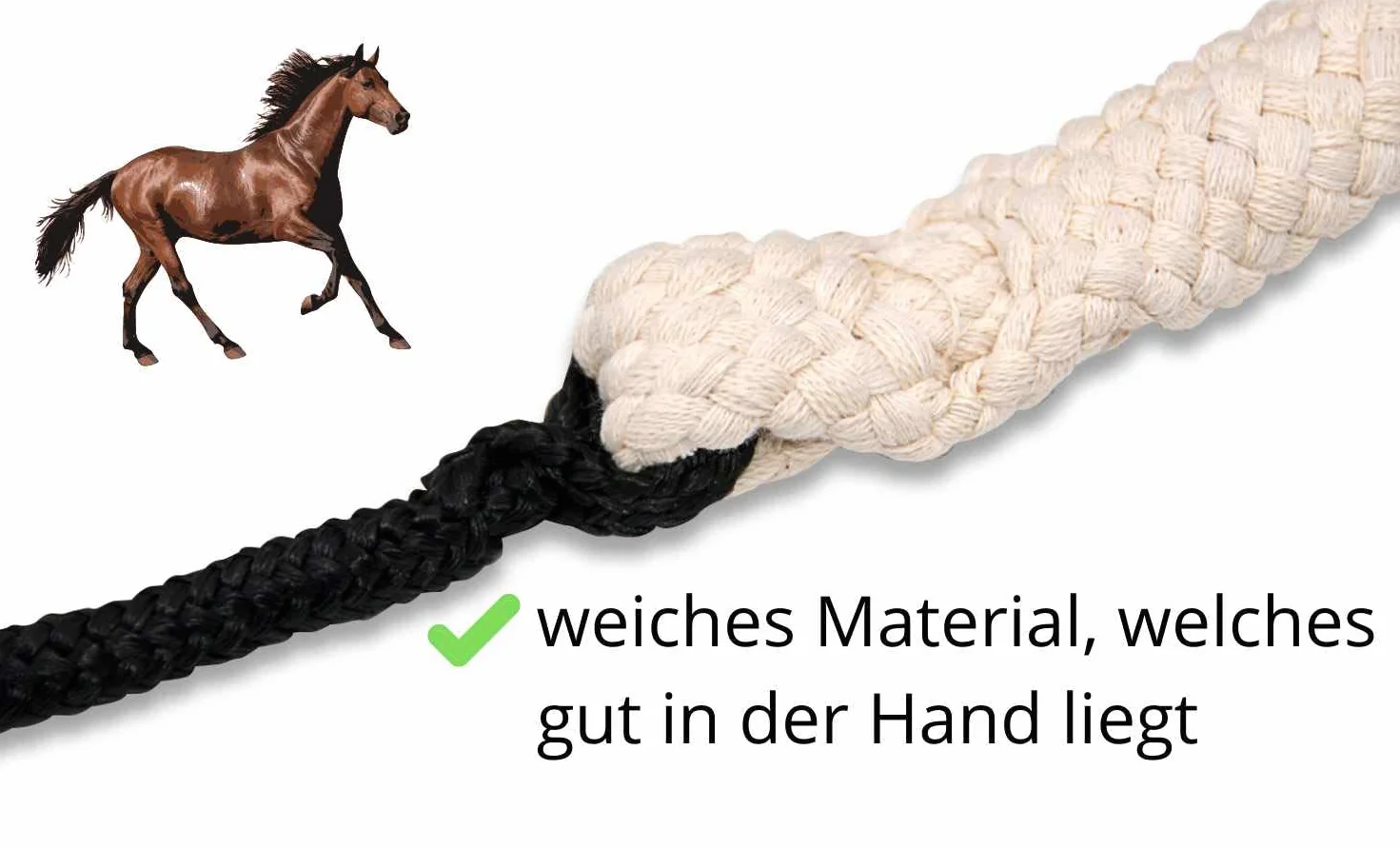 Doppia Longe 16 meter con 2 moschettone + polipropilene | Longia | Longe