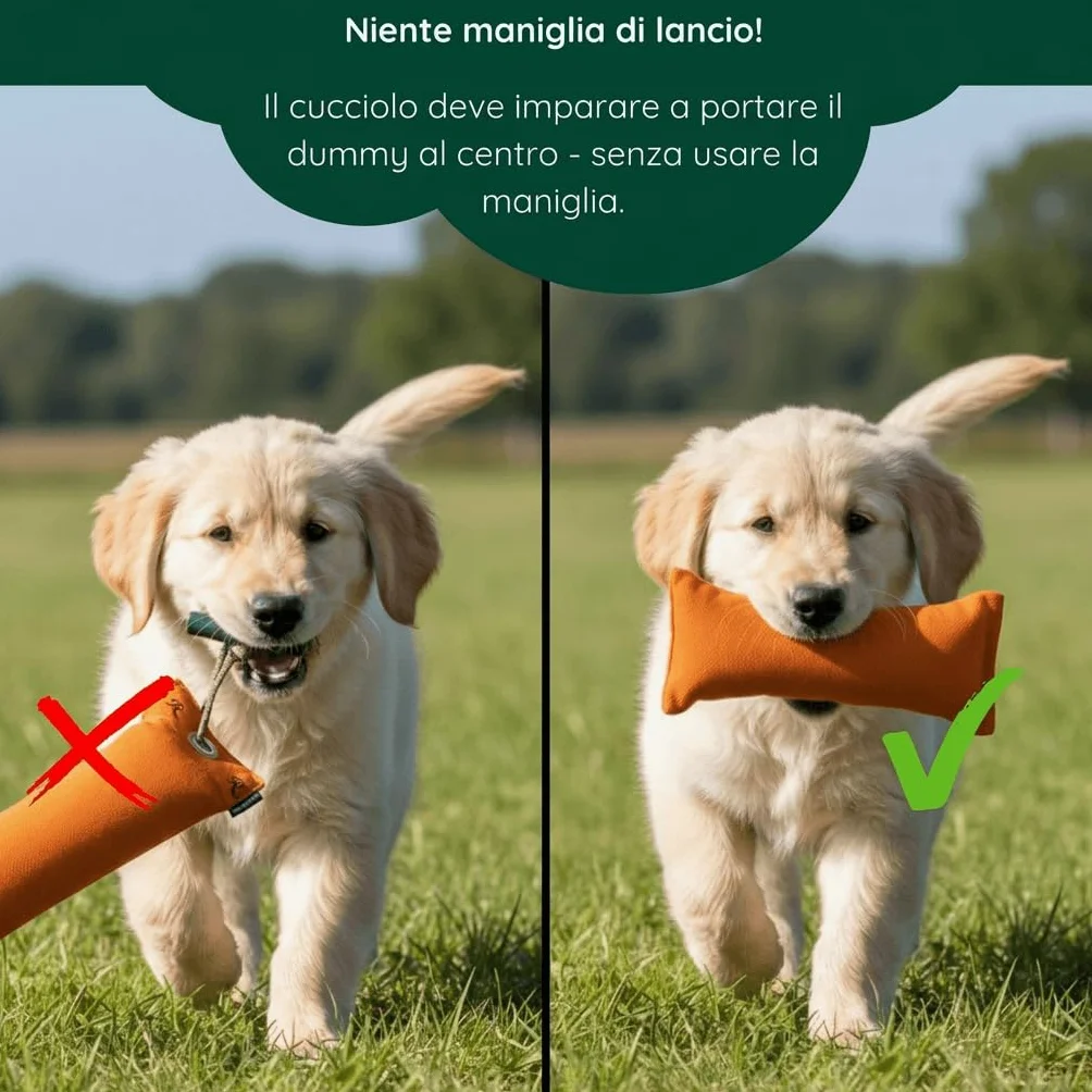 Romneys cuccioli-Dummy, circa 250 G
