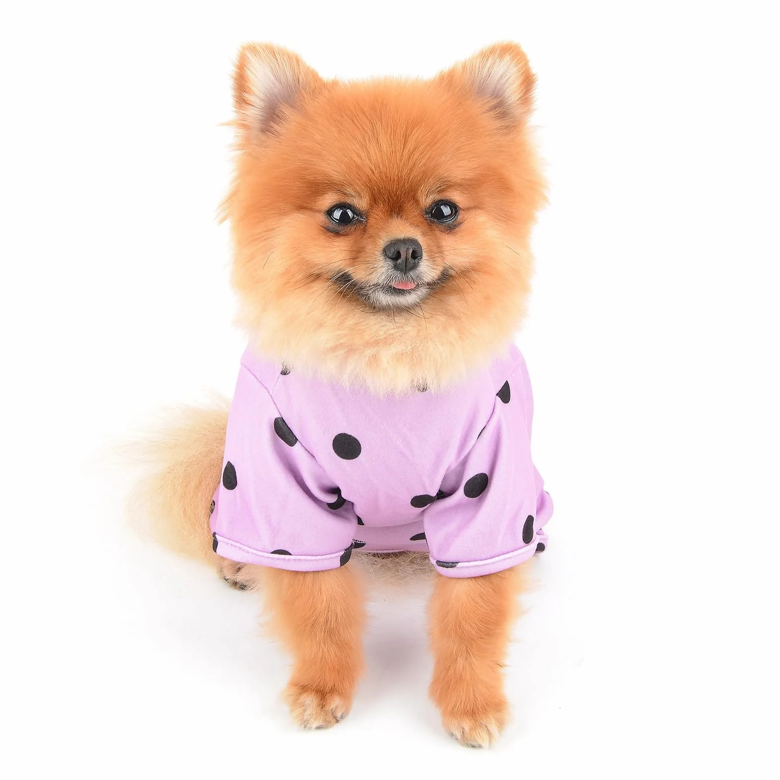 Pigiama Cani Piccola Taglia a Pois Retrò Tuta Elastica 4 Zampe per Gatti e Cuccioli Abbigliamento Notte Caldo Morbido Viola XS