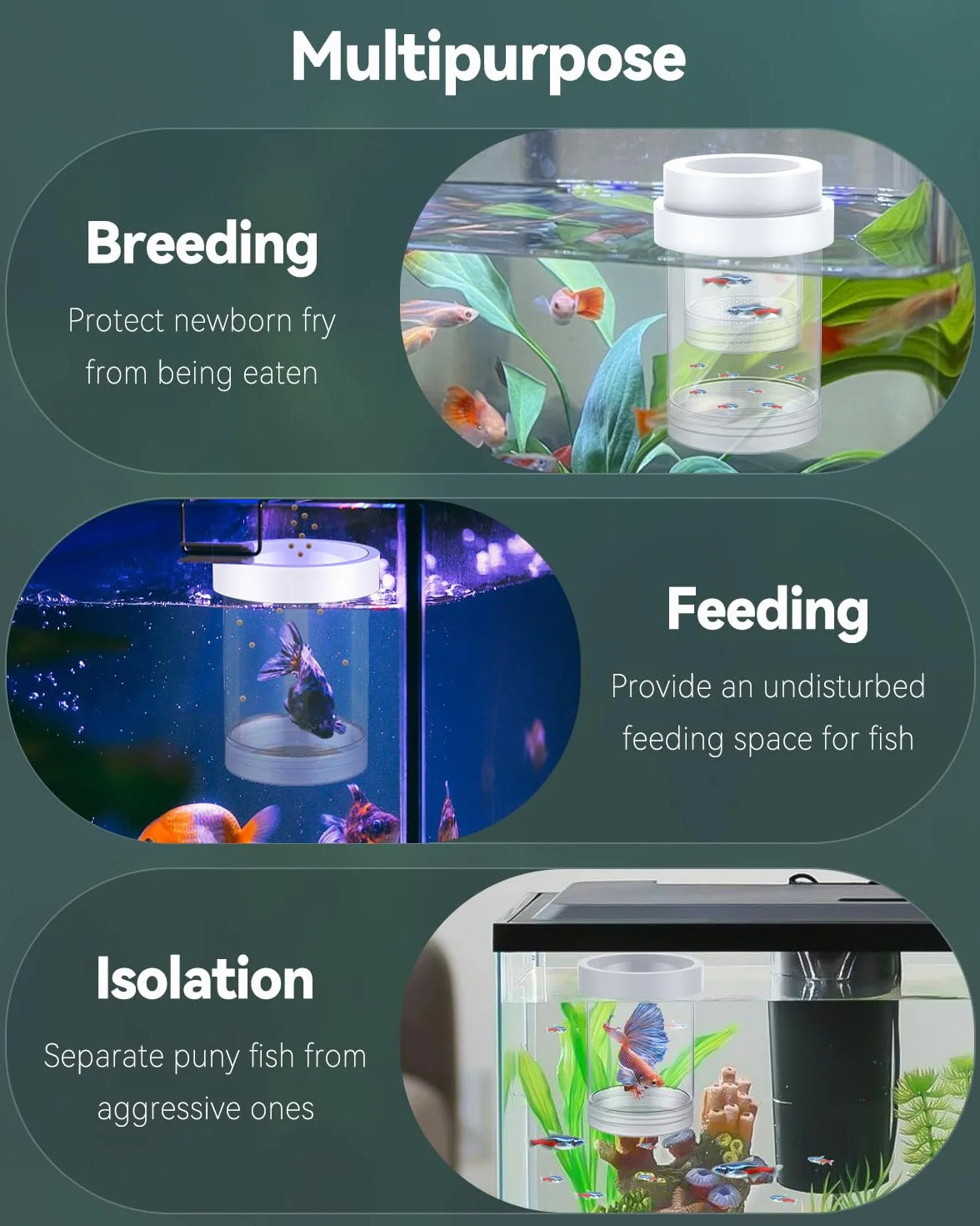 Pawfly Scatola per Riproduzione per Acquario, Box Galleggiante per Guppy, Separatore per Avannotti, Incubatrice in Plastica per Gamberetti, Betta e Pesce Pagliaccio, Medio