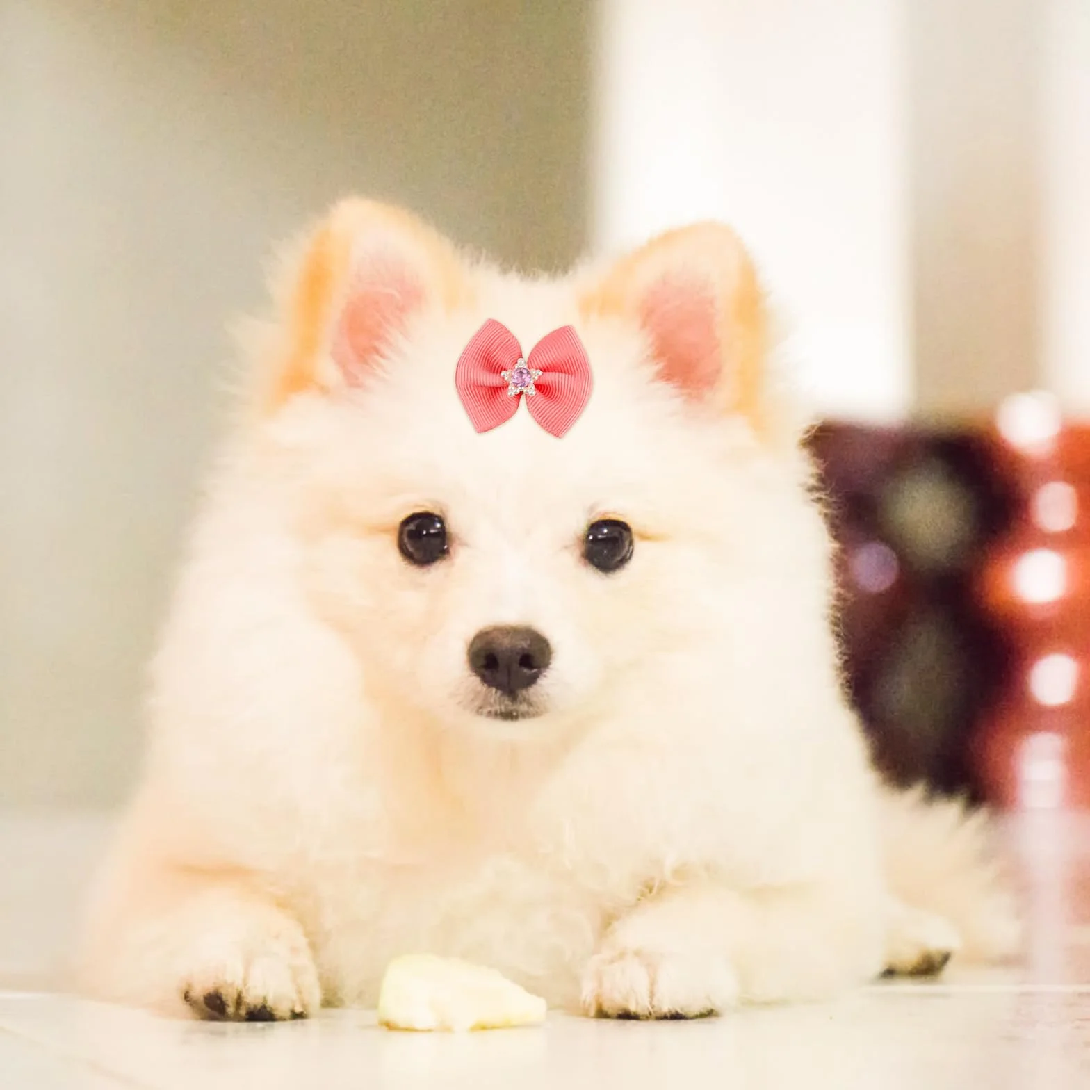 PEUTIER 20pz Fiocchi per Cani con Elastici, Dog Bow Stili Multipli Fiocchi per Capelli per Cani Graziosi Accessori per la Toelettatura per l'Uso Quotidiano degli Animali Domestici Durante Le Vacanze