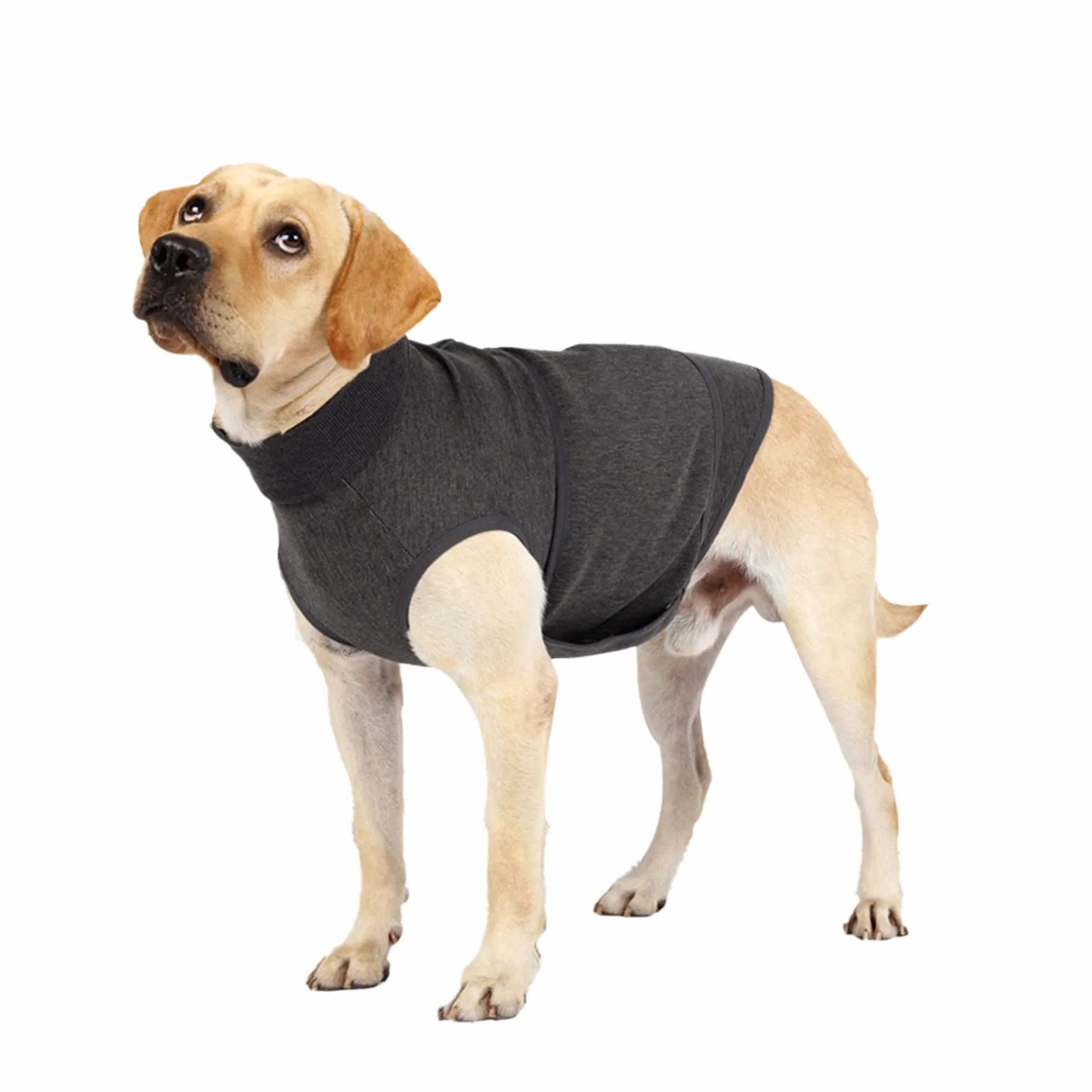 Cane Ansia Gilet Traspirante Morbido Cappotto Calmante Per Cani Piccole Medie Grandi
