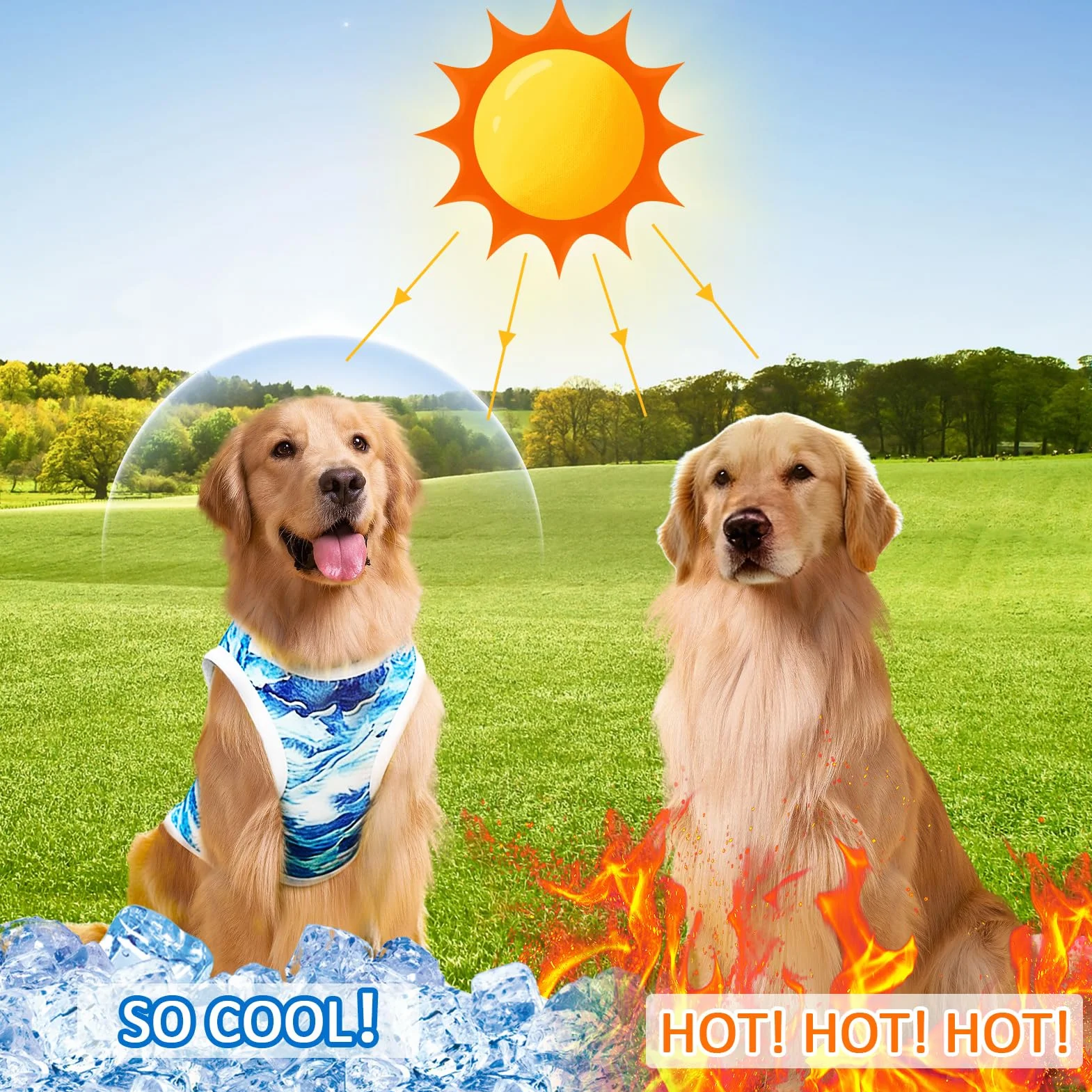 Gilet Rinfrescante per Cani Traspirante Leggero Taglia Media Piccola