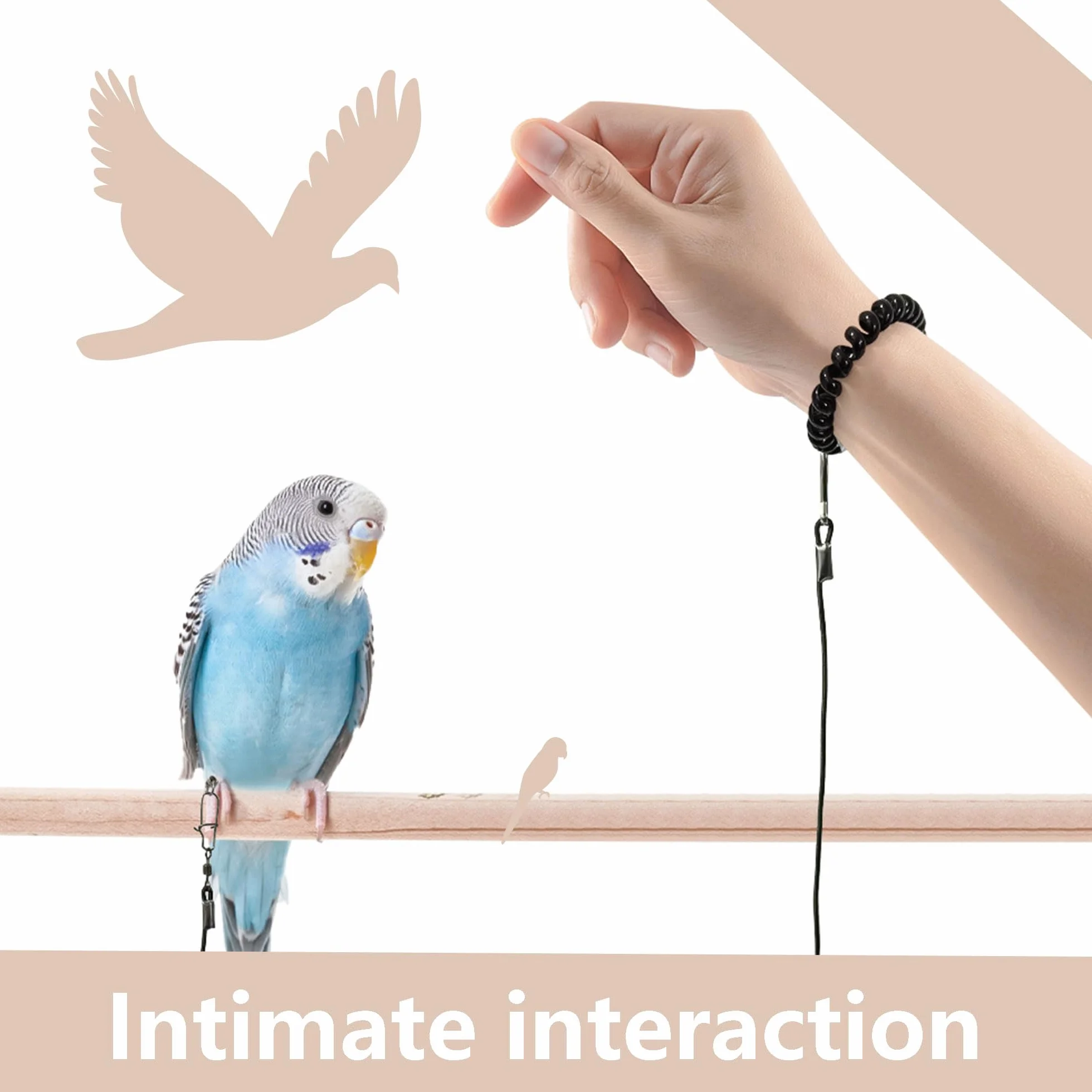 6 m Guinzaglio per uccelli Imbracatura per Pappagallo Imbracatura per pappagallo per animali domestici e uccelli guinzaglio per attività Corda regolabile per addestramento al volo (6 m)