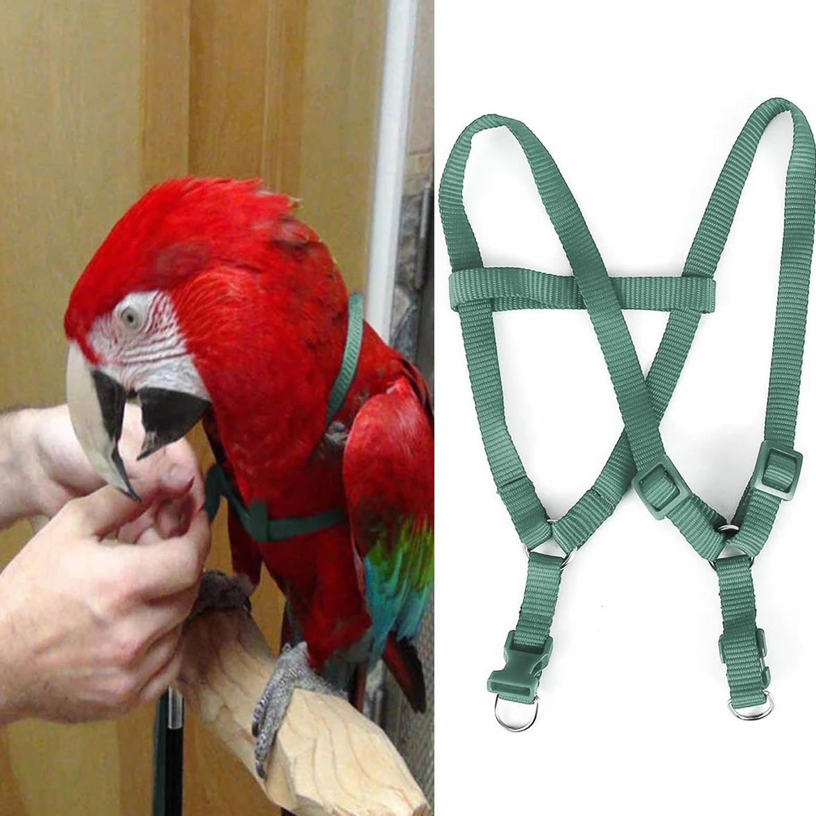 Guinzaglio per Uccelli Regolabile e Guinzaglio Per Uccelli Accessori Essenziali Per Esterni Volante Adatto Per Ara Scarlatto Sole Conure Pappagallo Cockatiel