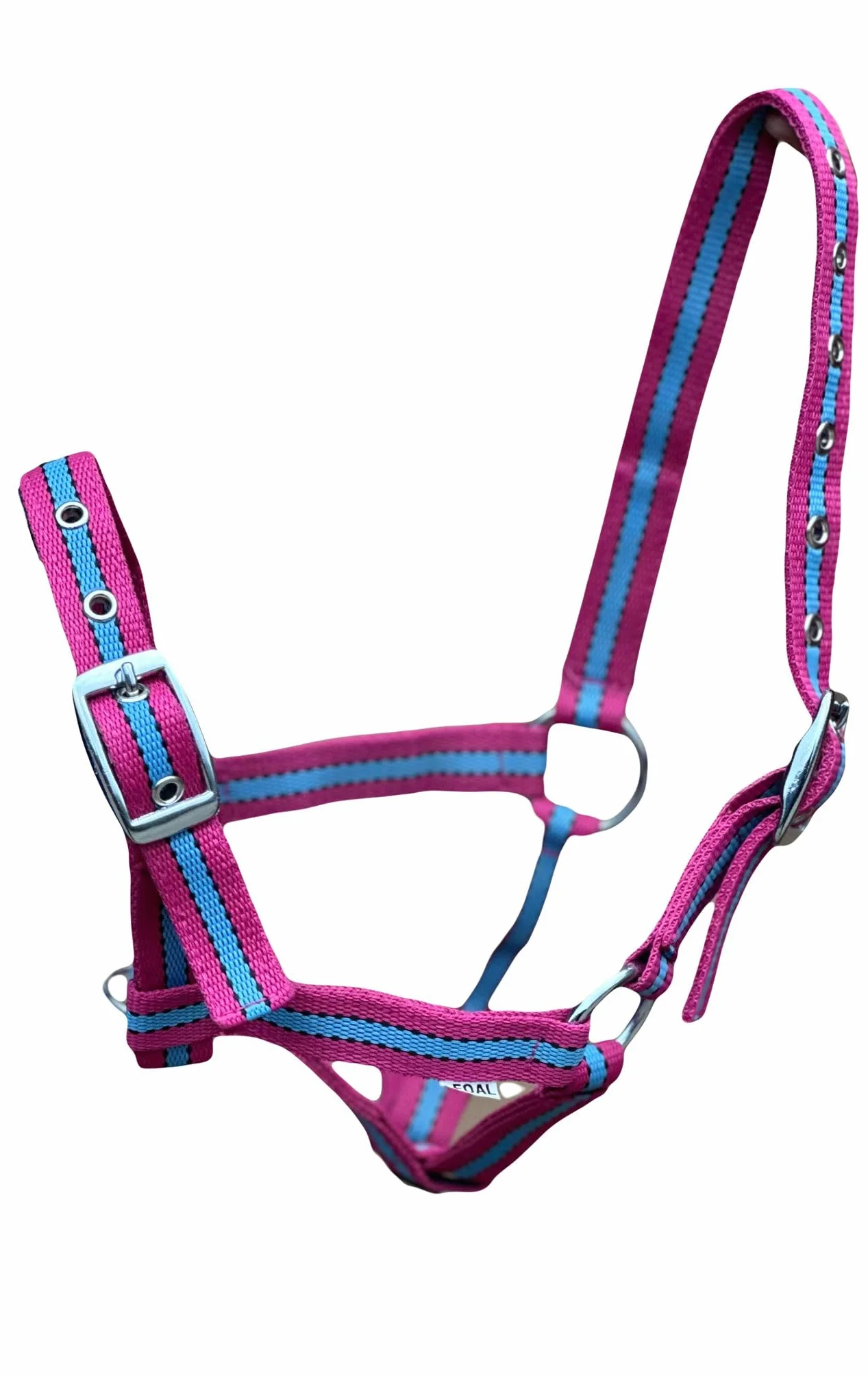 Cavezza per puledro multi adattabile in 10 fantastici colori