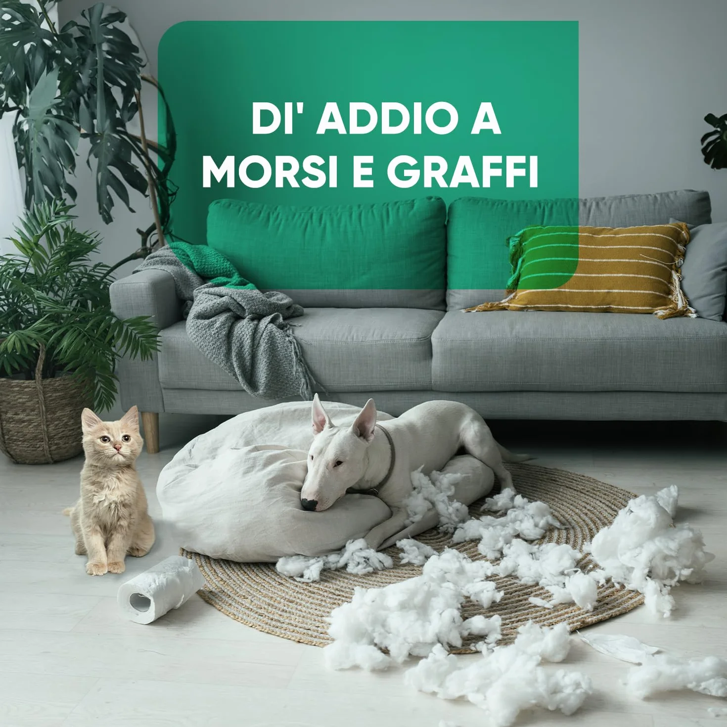 Spray Repellente per Gatti e Cani 250ml, Sapore Amaro, Dissuasore per Gatti e Cani, Spray Anti Graffi Gatto e Cane con Ingredienti Naturali, Disabituante Gatti, Spray Repellente Per Cani Senza Alcool