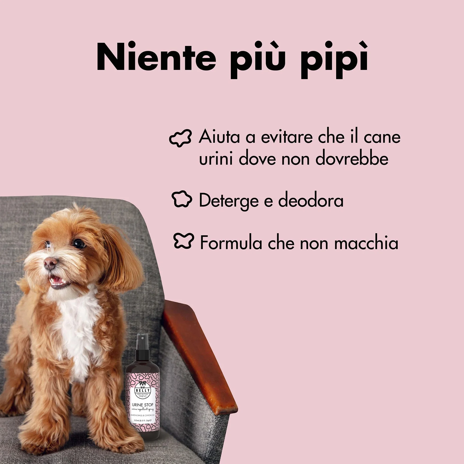 Belly Spray Disabituante per Cani da Interno - Disabituante per Cani da Esterno - Dissuasore per Pipi Cani, per Tutte Le Superfici - Elimina Odori Pipi Cane - Spray Disabituante Cani Educativo, 250ml