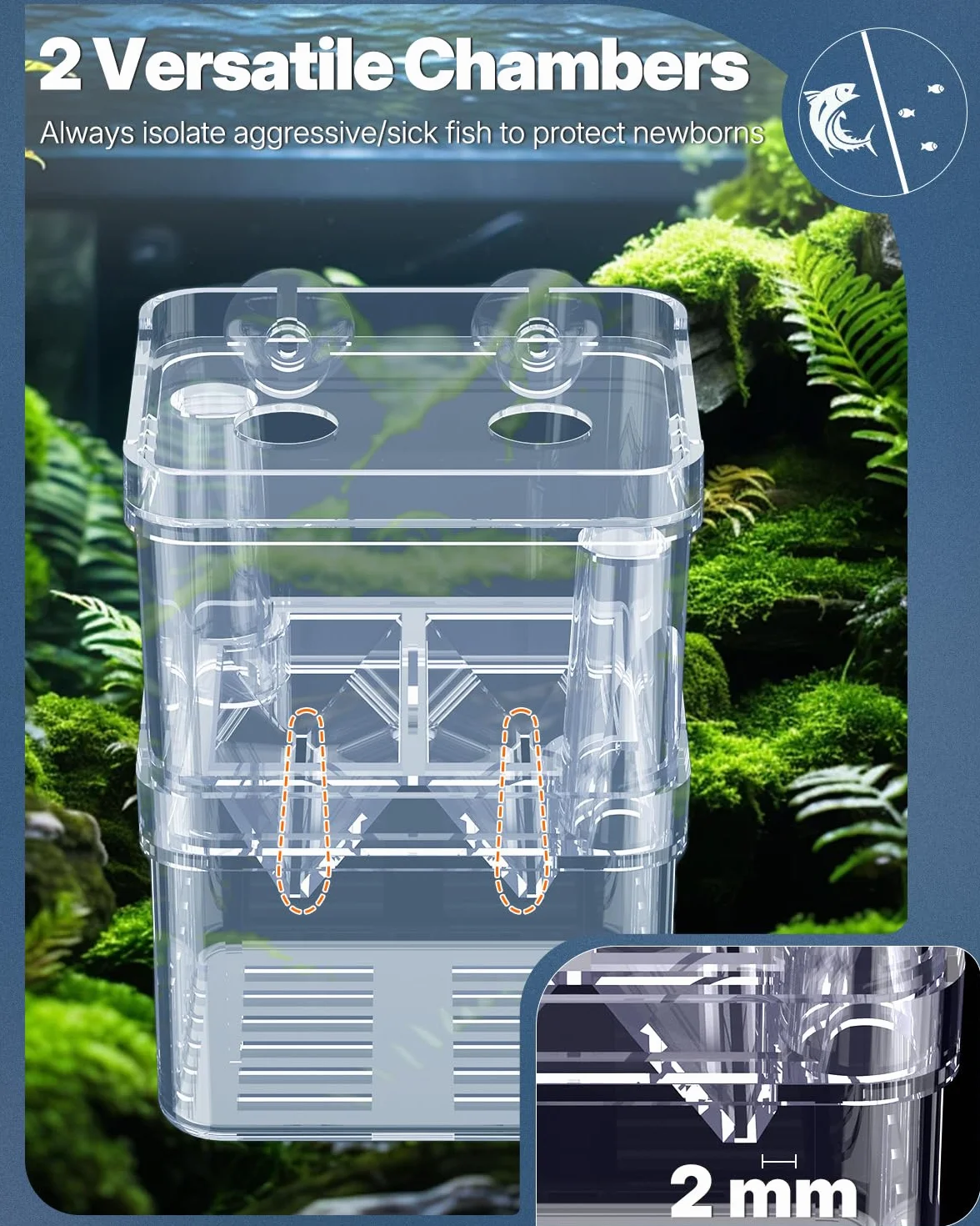 Pawfly acquario pesce allevamento box trasparente plastica Breeder Box per serbatoio di pesce avannotti incubatore incubazione Box per pesci aggressivi Guppy