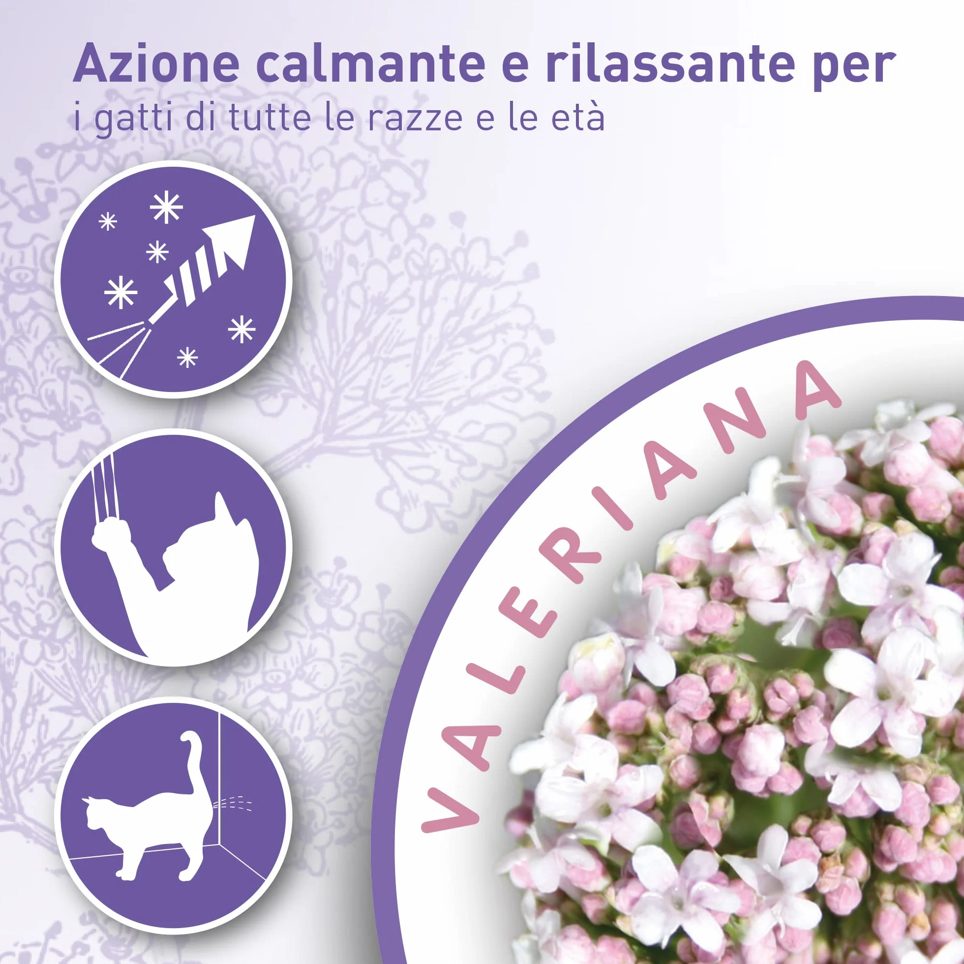 Beaphar No Stress Spot On Gatto, Calmante Gatto, 3 Pipette, Azione Calmante e Rilassante