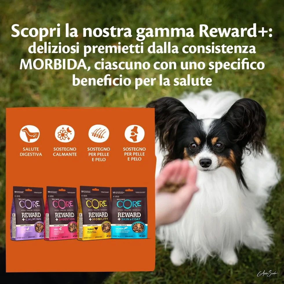 Wellness CORE Reward+ Pelle & Pelo 170g, Salmone – Snack Morbidi per Cani, Senza cereali, Naturale, Ipoallergenico, Ricco di Proteine, Alto Contenuto di Pesce, Pelle Sana e Pelo Lucido